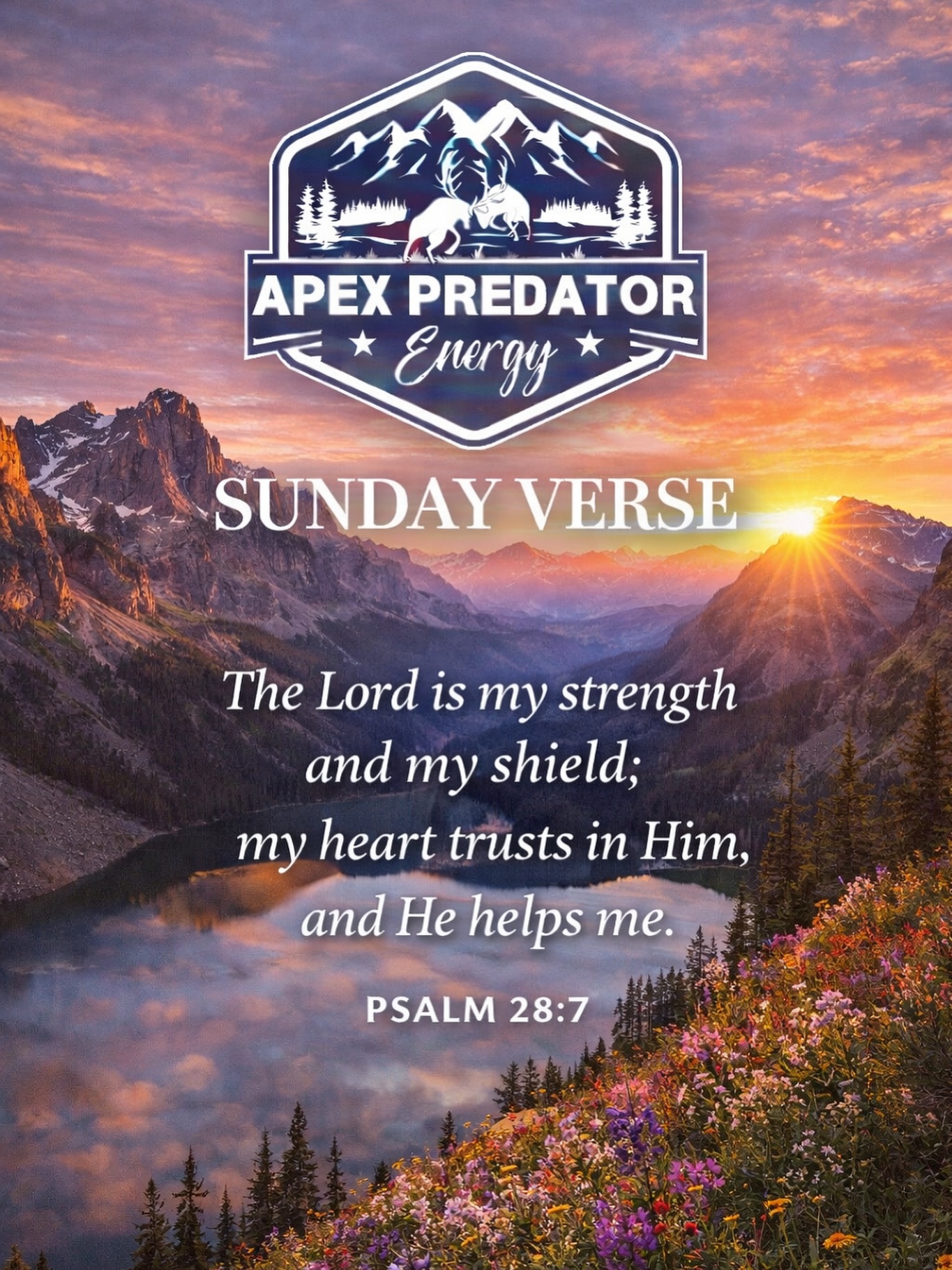 Strength. Trust. Faith.
Psalm 28:7
#sundayverse #apexpredatorenergy