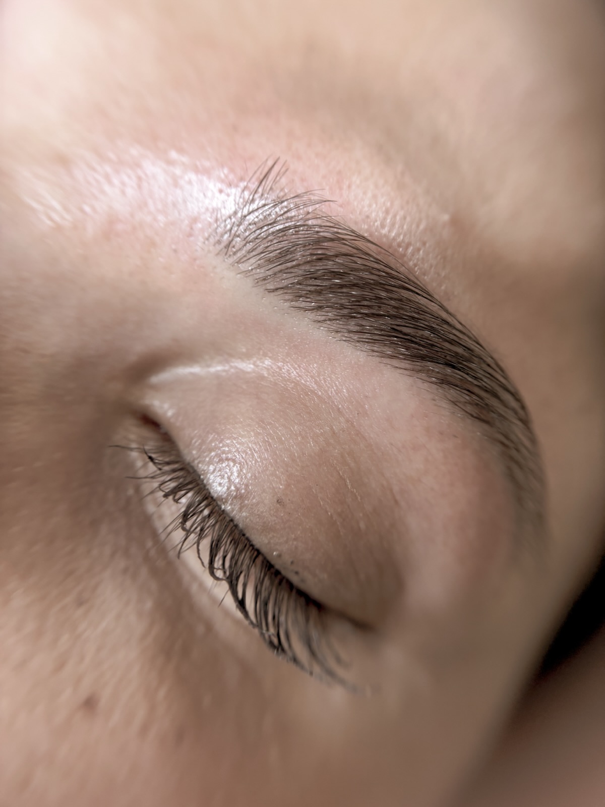 Nano Brow Flow // tattoo your eyebrows!