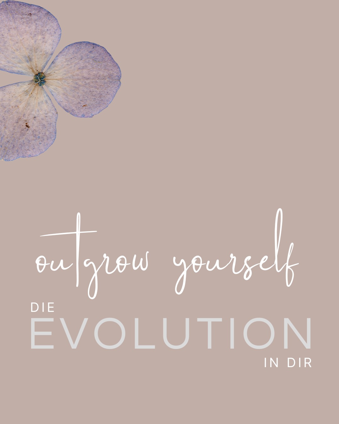 Jetzt bin ich ein bisschen aufgeregt. 🤩
WIR ÖFFNEN DIE TORE VON
outgrow yourself - die Evolution in dir.
AM 15. APRIL 2026 16:30- 18:00 Uhr
Ein Online-Raum, wo es beben wird. 🔥💫
WORUM es gehen WIRD???
Mehr Druck = Mehr Scheitern
Warum uns Willenskraft für Veränderungen nicht helfen kann!
Save the date
15. April 2026 16:30- 18:00 Uhr
Online Impuls-Vortrag
mit @birgit_himmelbauer und mir.
Einen Platz sichern kannst du dir ab heute.
#dieevolutionindir
#outgrowyourself
#10von10showuprevolution