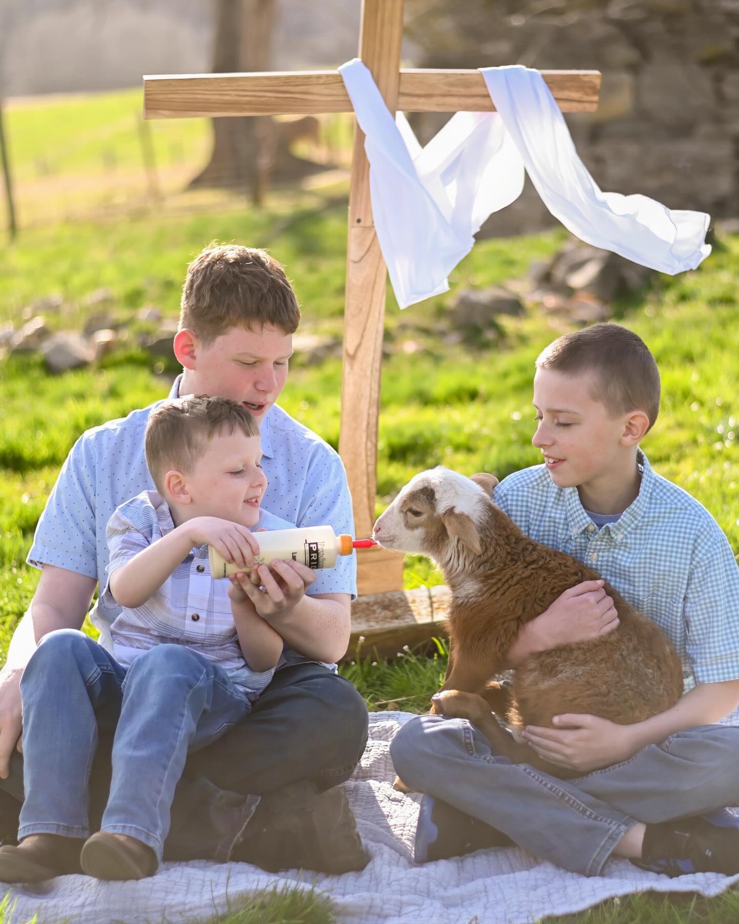 Happy Easter 🤍 He is risen ✝️
Continuing my little “seamless carousel” moment… and holding onto the joy this day brings