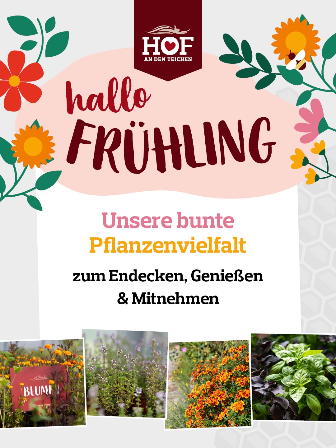 🪴👩🌾 An die Gärtnerinnen und Gärtner und alle die es werden wollen - hier sind spannende Termine für die nächste Zeit - vor allem möchten wir euch zum ersten Hof-Pflanzenmarkt in diesem Jahr am kommenden Osterwochenende einladen! Wir haben wieder viele besondere Kräuter und Beerensträucher sowie Blumen für euch groß gezogen und gehegt, eine Beratung vor Ort gibt es auch. Plus Flammkuchen am Sonntag! Kommt ihr vorbei? 🤗