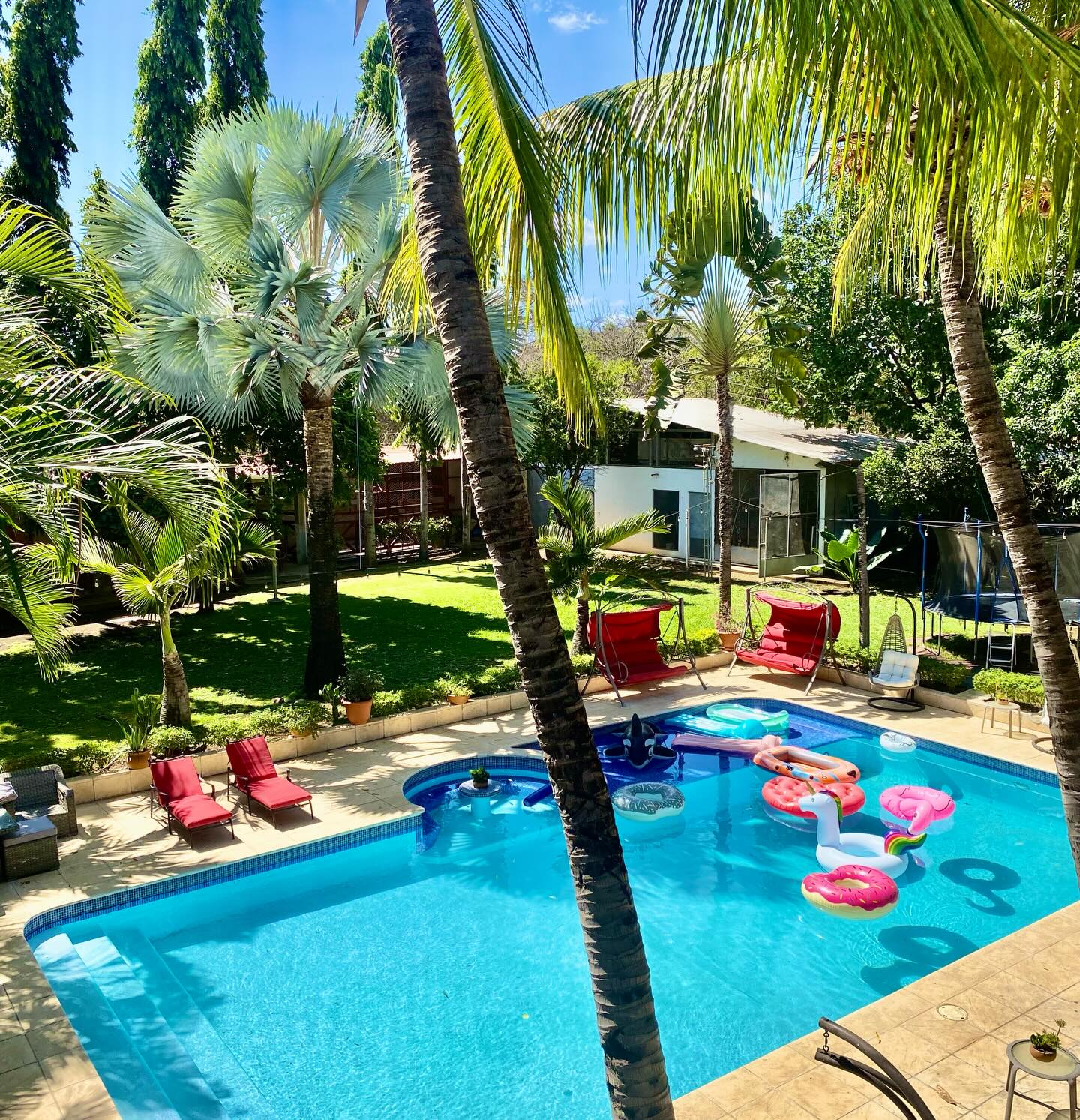 A little bit of paradise in the big city. ☀️🦩🌴
#nicalife
#wellnessonthego
#wellnessretreats