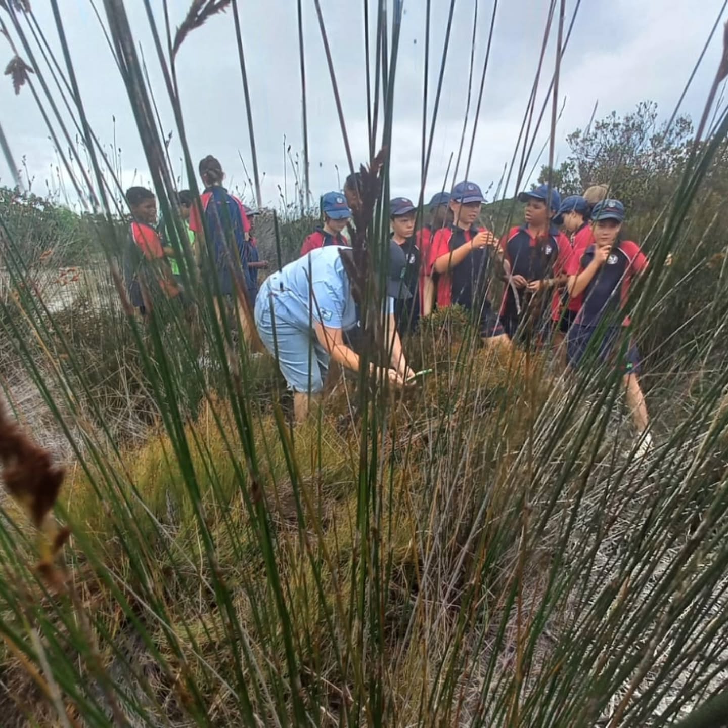 The Grade 5 class recently visited the Whale Coast Conservation Centre in Hermanus for a hands-on extension of their classroom learning on plants and the important role of flower parts in pollination and fertilisation.
During the visit, learners were introduced to the use of microscopes, allowing them to explore and appreciate the intricate structures of flowers up close. This practical experience brought their theoretical knowledge to life, deepening their understanding in an engaging and memorable way.
Thanks to the knowledgeable facilitators, the class was able to make meaningful connections between what they had learned in class and what they observed firsthand. It was a fitting and enriching way to conclude the plant module.