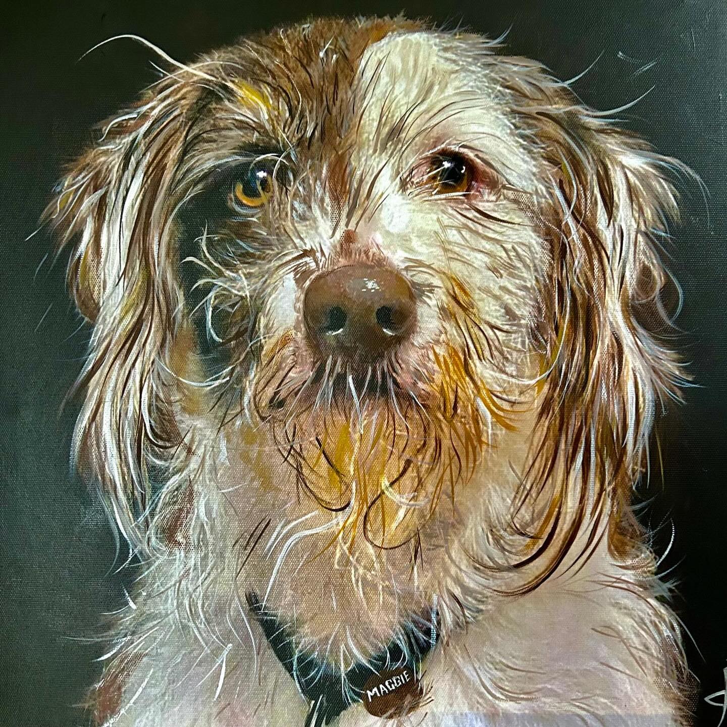 Meet Maggie! ๐ถ ๐ฆด
She is an Italian Spinone and is just gorgeous!
They are known for being gentle, patient, and deeply loyal dogs that make extraordinary family companions.
She was such fun to paint. Get in touch if you would like your pooch portrait. I also paint other animals, and even humans!
#thedogportraitartist #dogportrait #paintmydog #petportraits #dogsofinstagram
@italian_spinone_official @spinonegram @dogs_of_henley @dogsofsouthwest @dogsofinstagram