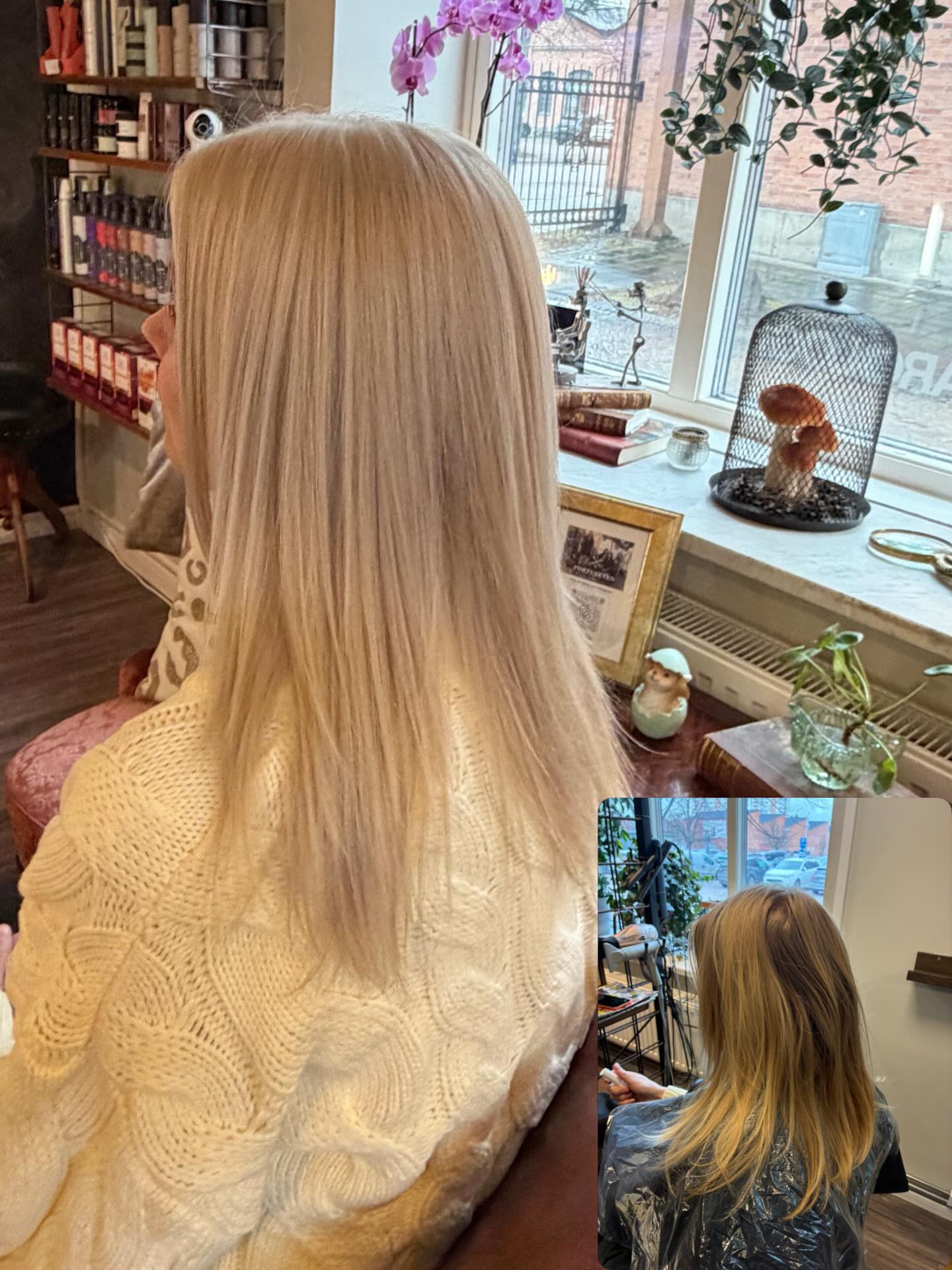 Våren är här! Det vet vi alla vad det betyder 🙈✨