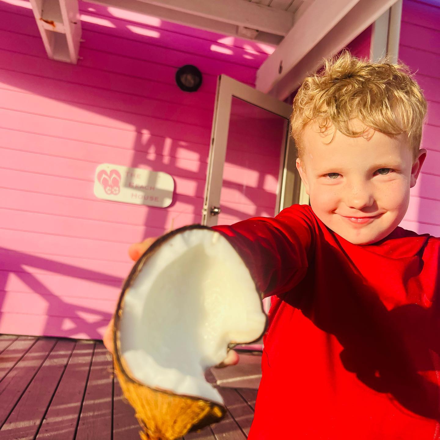 Freshly picked coconuts 🥥🥥🥥