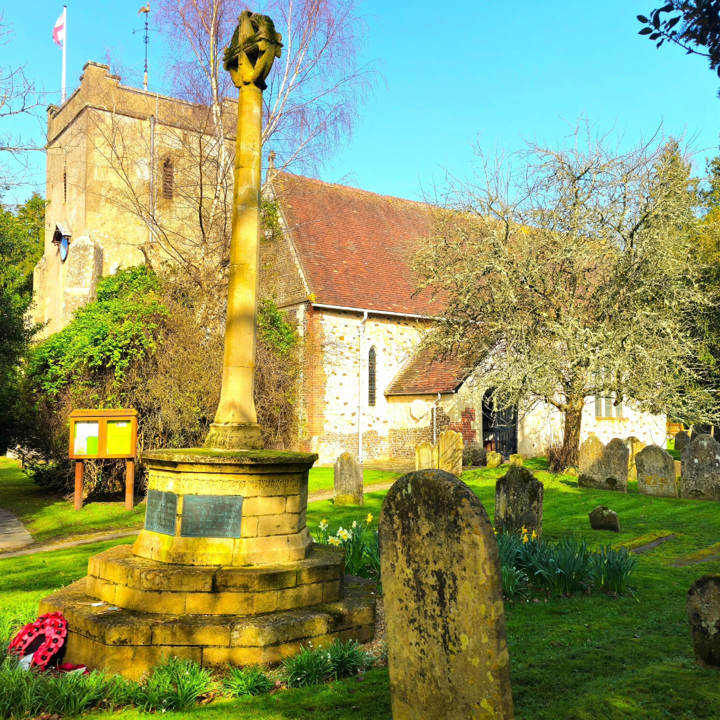 Sapete cosa ho scoperto entrando nella piccola chiesa del villaggio di Selborne?
Una meravigliosa vetrata dedicata a San Francesco d'Assisi, raffigurato mentre prega circondato dagli uccelli.
L'opera è stata realizzata dall’artista Alexander Gascoyne e installata nel 1920 per celebrare i 200 anni dalla nascita di Gilbert White, uno dei più importanti naturalisti inglesi del Settecento, nato proprio a Selborne.
Nella vetrata sono rappresentati ben 120 uccelli appartenenti ad almeno 60 specie diverse, tutte studiate, descritte e catalogate da Gilbert White
nel corso della sua vita.
Un piccolo capolavoro che unisce arte, scienza e spiritualità in un’unica meravigliosa immagine.
Che si sia religiosi o meno, è impossibile non emozionarsi nel vedere il patrono d’Italia raffigurato in una piccola chiesa nel cuore dell’Hampshire.
E voi, avete mai scoperto un dettaglio inaspettato durante le vostre visite nei villaggi inglesi?
#passionecampagnainglese #gilbertwhite #sanfrancescodassisi #Selborne #villagechurch