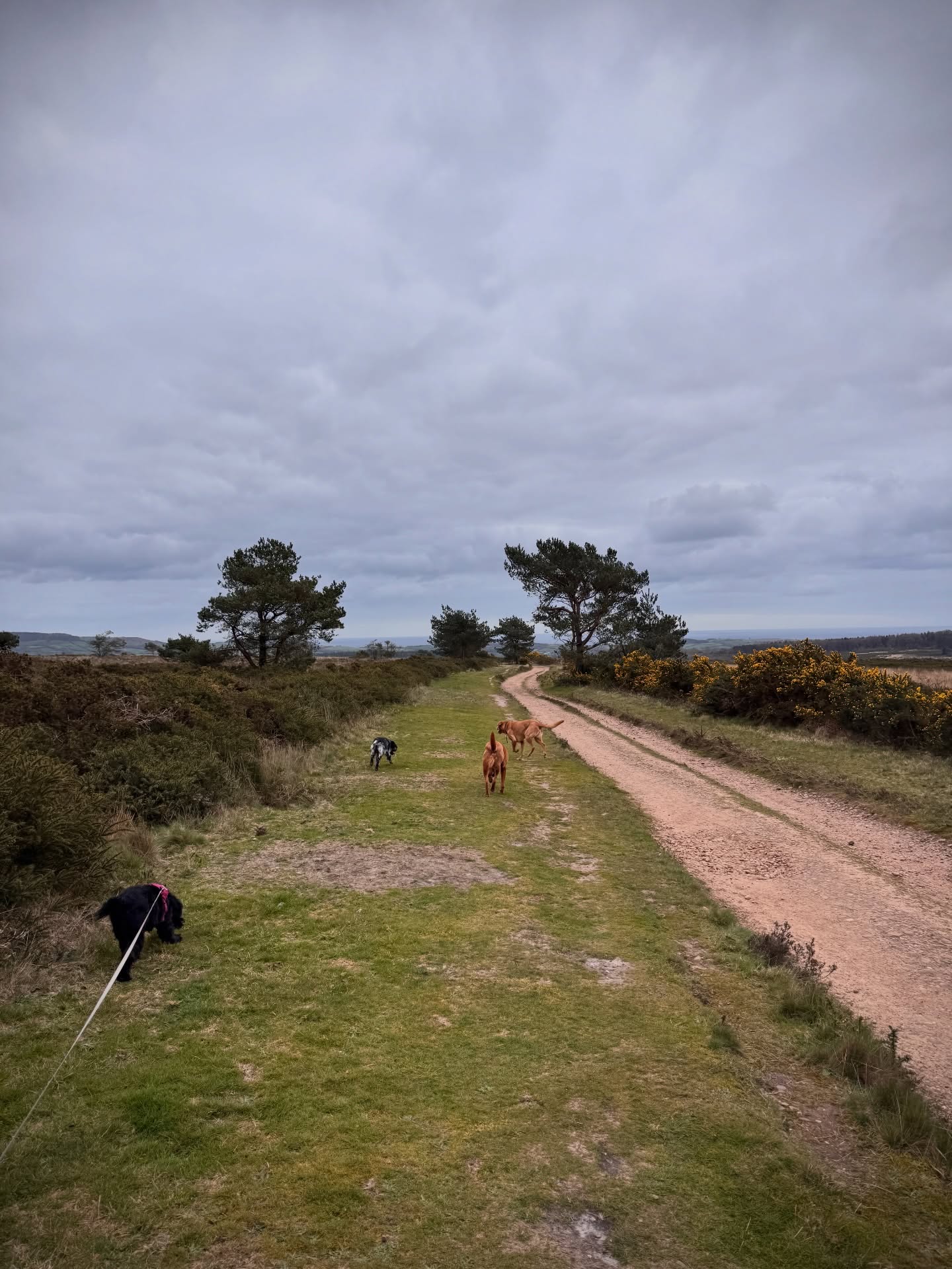 Wednesday Woodbury Crew