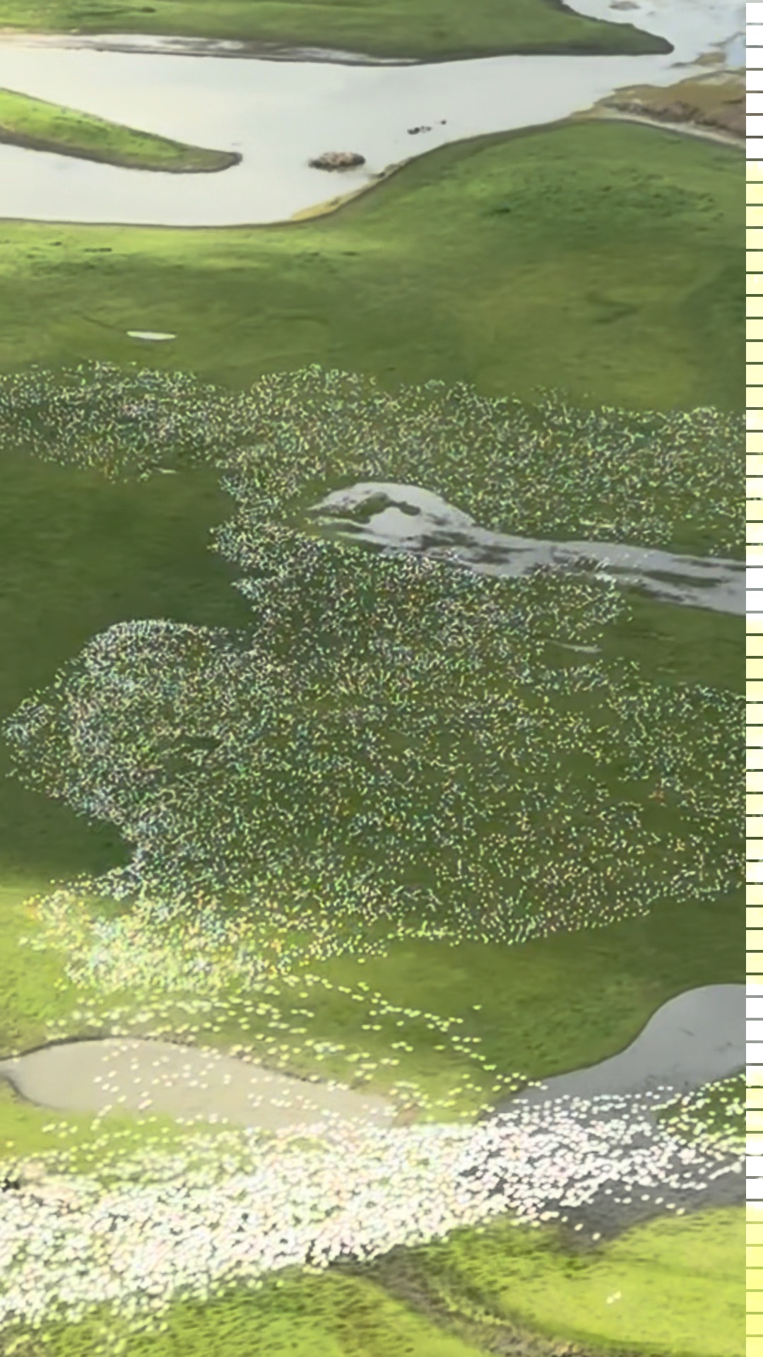 I used to fly this route from my home in the mountains to work in Silicon Valley - a few hundred times. I don't even bring my "real" camera any longer.
But on a recent flight to visit a friend I came across this. Wow. Glad I had my phone!
#aerialist #shotsfromabove #whyifly #migration #birdmigration #goosemigration #generalaviation