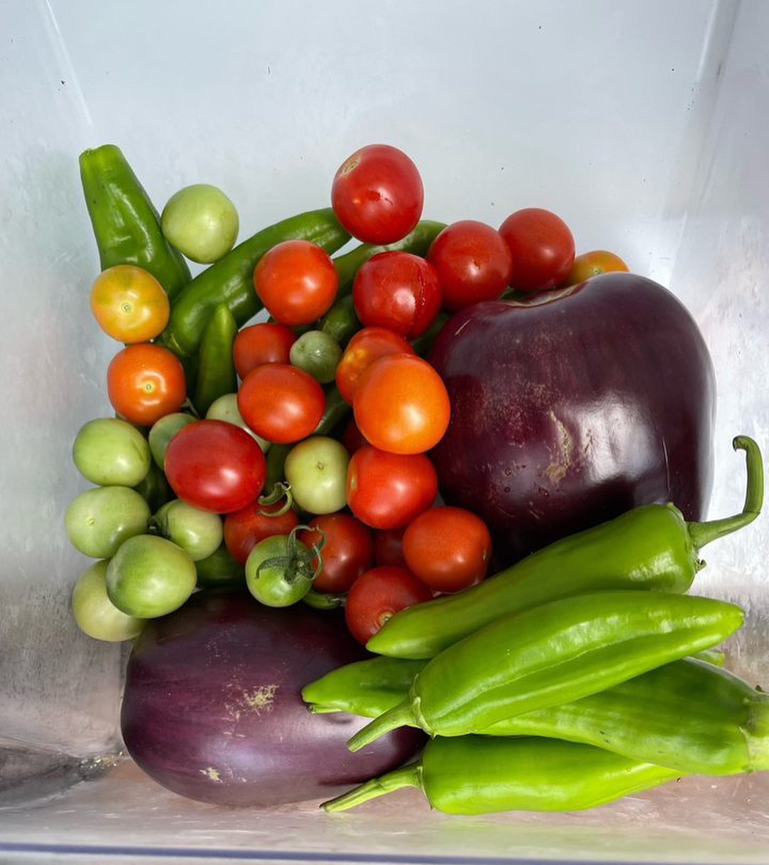 We love a good summer harvest! 🌱☀️
.
.
.
.
.
.
#communitygarden #harvest #vegetablegarden