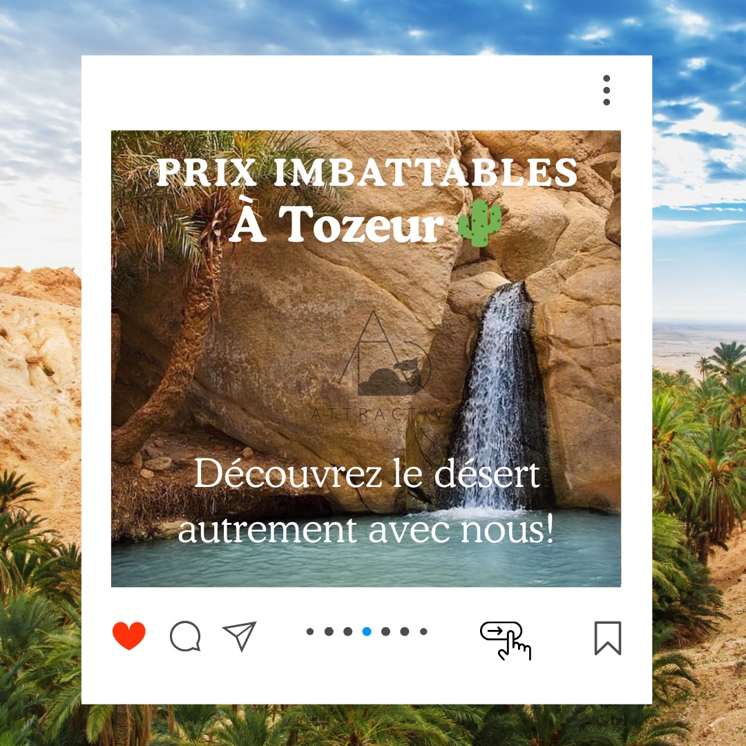 🌵 Découvrez Tozeur autrement avec Attractive Discoveries !
Profitez de nos expériences désert à prix imbattables : Quad, Buggy, Jimny Self Drive, 4x4 avec chauffeur, vélo, coucher de soleil, oasis, dunes et paysages mythiques du Sud tunisien.
Que vous soyez en couple, entre amis, en famille ou en groupe, nous avons une formule adaptée pour vivre une vraie aventure encadrée et sécurisée.
📍Départ Tozeur
📲 Infos & réservations sur WhatsApp ou Message DM
🔥 Places limitées selon disponibilité
#tozeur #tunisie #sahara #quad #buggy #jimnyselfdrive #desertsafari #visittunisia #attractivediscoveries