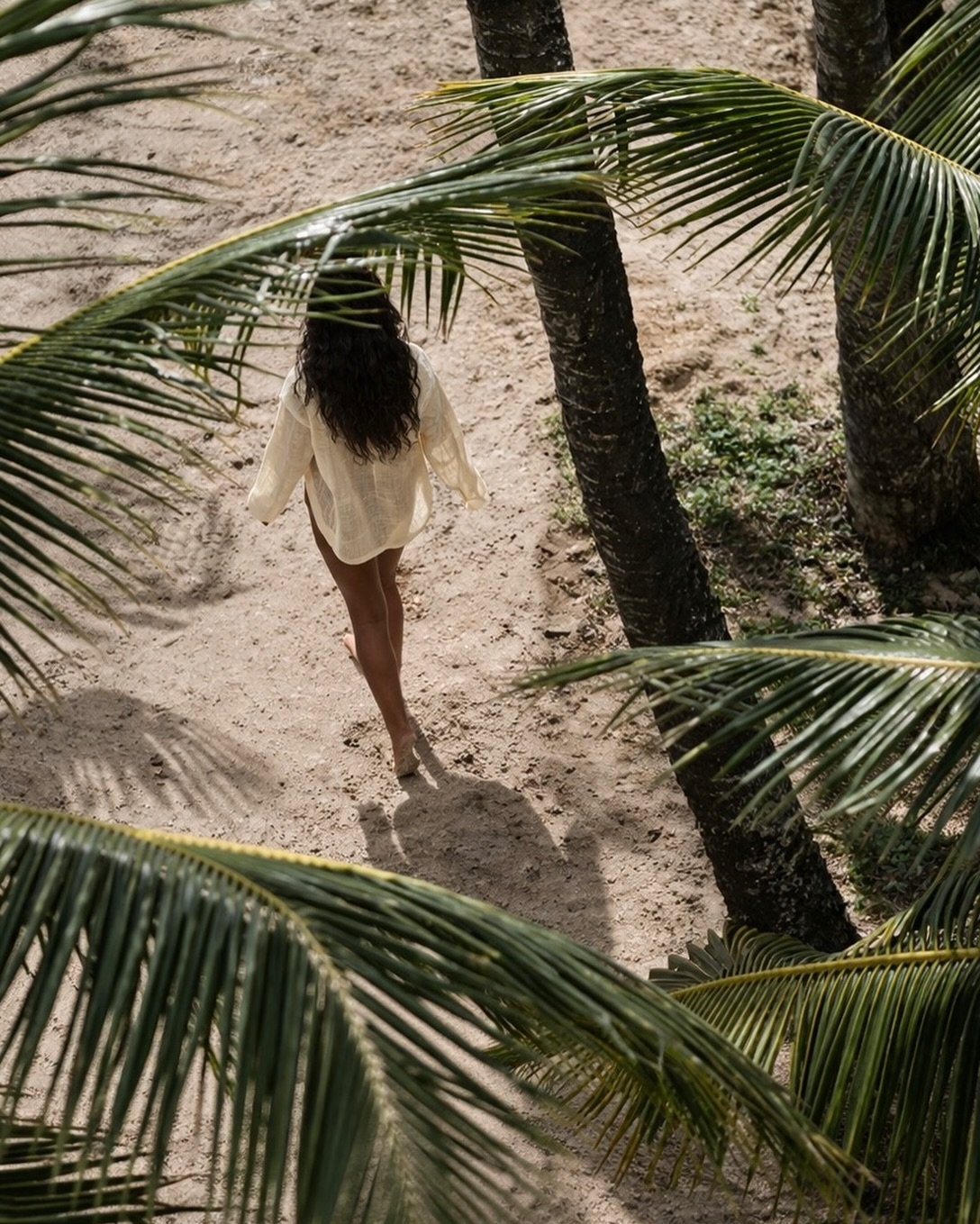 Us on the hunt for Brevana 😏
#brevana #electrolyres #health #coffee #tea