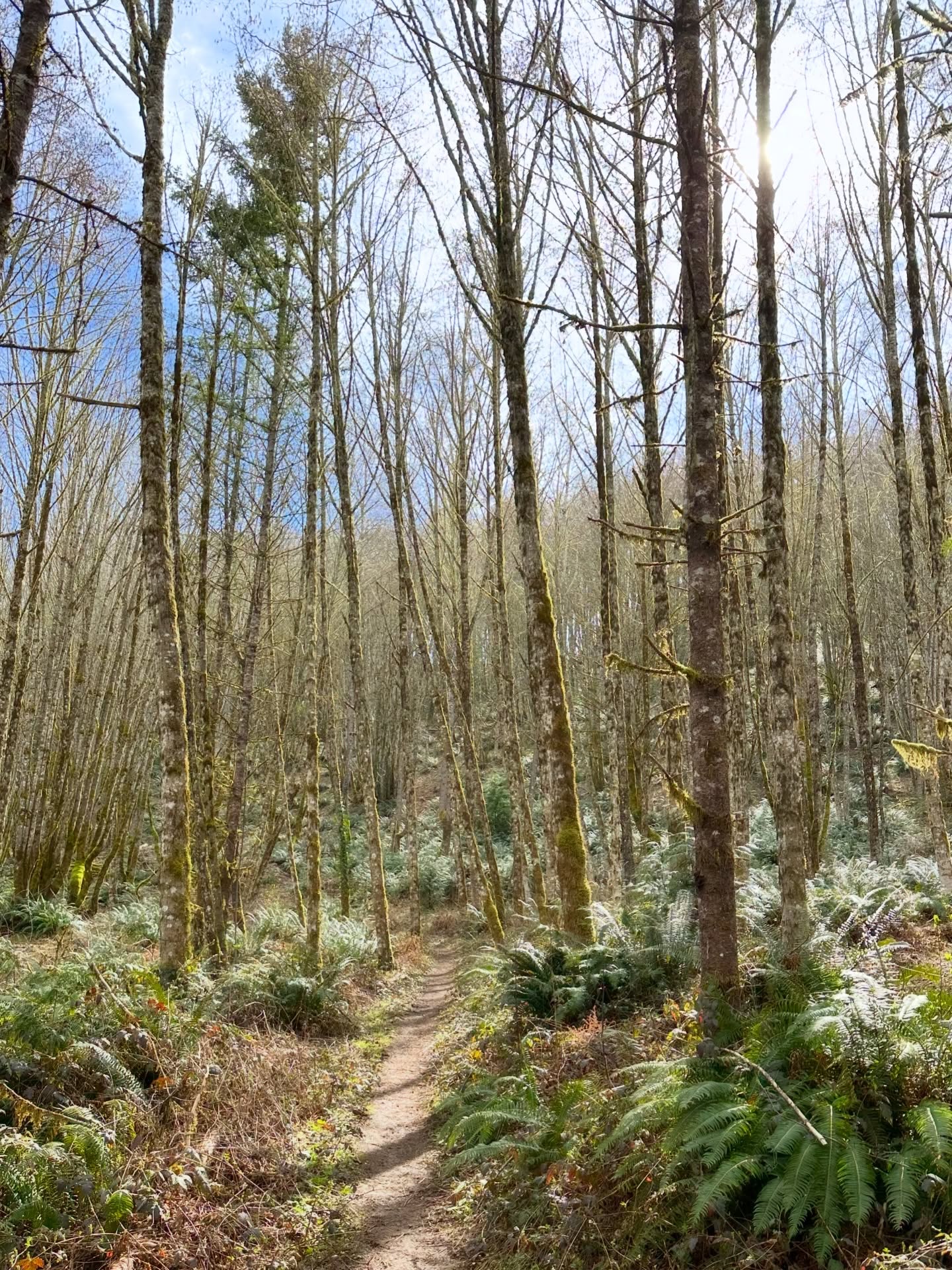 I did a dumb thing on this one… had to take a quick pee, but didn’t look first and popped a squat right on a patch of nettle. 🍑🪡🔥😔