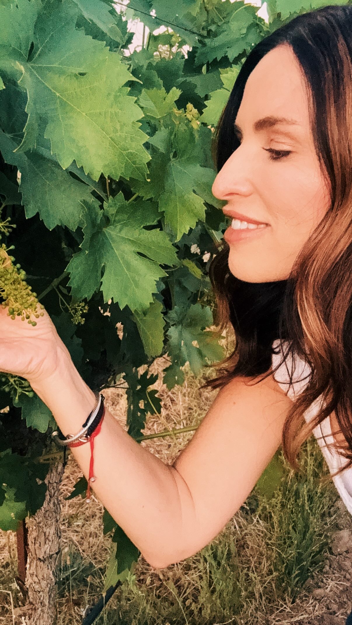 Spring rain during flowering, not good.💦🙅🏻♀️
It messes with fruit set…and not in a cute, ‘dancing in the rain’ kind of way.☔️
Rain can wash away pollen, creating coulure (aka fewer grapes). Wet + cold = millerandage…uneven berries and uneven ripening, resulting in lower quality fruit.🍇
Add in moisture + warmth and you’ve basically rolled out the red carpet for mildew, botrytis, and all their fungal friends. And if there’s wind? Flowers can literally get knocked off before they even become grapes.
Oh, and it slows everything down…longer flowering, more vulnerability, and less consistency at harvest.🌿
Long story short, spring rain doesn’t just shrink the crop, it can throw off quality, balance, and style. Sometimes smaller yields do mean more concentration…but uneven fruit? That’s a winemaking headache nobody wants.
#wineeducation #grapevines #inthevines #winefacts
@winebarchronicles
📍 @fontefico Abruzzo