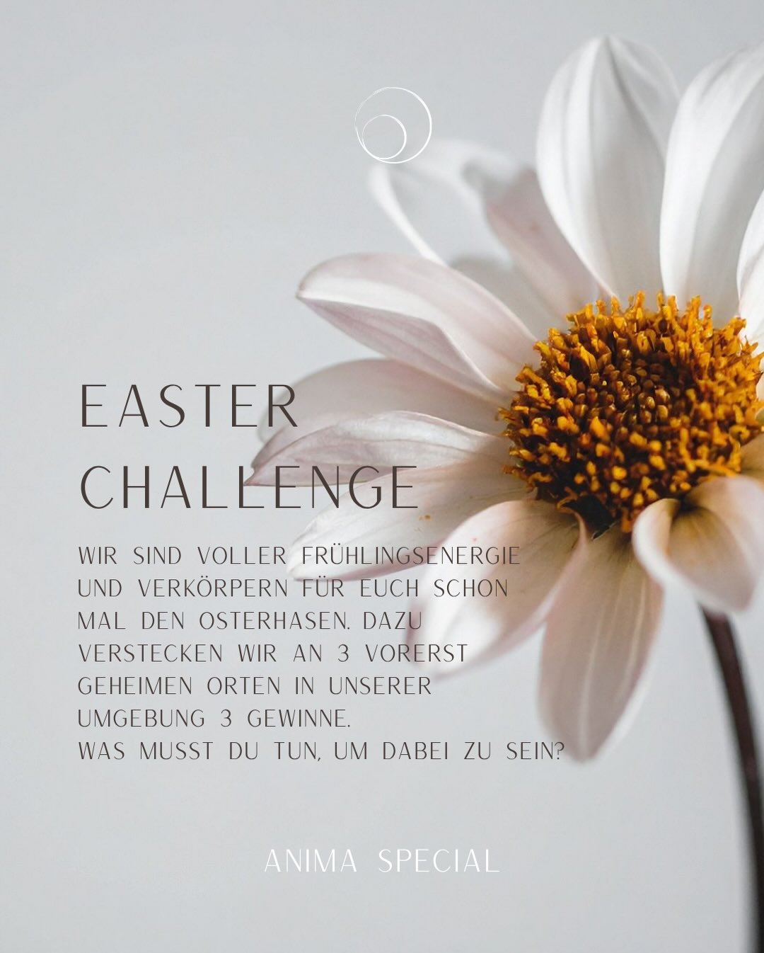 OSTARA :: das Fest rund um die Frühlings-Tag-und-Nachtgleiche bringt uns wieder „frischen Wind“ ins Haus und vertreibt damit die Schwere des Winters, um wieder mehr Leichtigkeit und Sonne ins Leben zu lassen.
Auch wir spüren diese Energiequalität und sind so voller Neugierde auf den Frühling in all seinen Formen. Diese Energie möchten wir nutzen und haben uns was „freches“ überlegt:
DIE ANIMA EASTER CHALLENGE :: wir sind voller kindlicher Frühlingsenergie und verkörpern für euch schon mal den Osterhasen. Dazu verstecken wir an 3 vorerst geheimen Orten in unserer Umgebung 3 mega Gewinne. Was du tun darfst, um dabei zu sein und was genau die Gewinne sind liest du in den Slides oben?
Wir planen schon fleissig unsere Verstecke und wie die Osternester gestaltet werden. Also stay tuned! Wir freuen uns auf die Suche <3
Grüße aus der Osterhasenwerkstatt,
Sabrina & Caroline
P.S.: Du möchtest es nicht auf den Zufall ankommen lassen und schon vorab dein Osterhasengeschenk bei uns abholen? Dann nutze unsere Happy Easter 10% Aktion - noch bis Karfreitag, 3. April bekommst du 10% auf alle unsere ANIMA YOGA Produkte*. Folge dazu einfach dem Link in unserer Bio zu unserer Homepage und buche dein Ostergeschenk mit dem Buchungscode ANIMA10EASTER26 oder melde dich bei uns für deinen individuellen Oster-Gutschein. *ausgenommen von der Aktion sind alle 1:1 Behandlungen der ANIMA THERAPIE Bereiche.
#community #easterchallenge #osterhasenchallenge #freudebeimschenken #anima_yoga_ somaticyoga