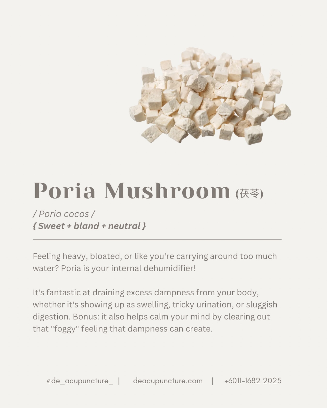 Bloated? Tired? Can’t Chill? 🤯 This ‘Shroom’ Is Your Secret Weapon!
Ever heard of Poria Mushroom? In Chinese, we call it Fu Ling. 🍄 It’s one of the OG superstars in TCM, and trust us, it does WAY more than just taste good in soup. 😉
TCM sees lots of common problems coming from something called ‘Dampness’ and a weak Spleen (the organ that manages digestion and fluids). Fu Ling is the BEST for solving this! Think of it as a gentle, natural sponge. 💧
The benefits of Poria (Fu Ling) are seriously next level:
🧽De-Bloat & De-Puff
Flushes out excess water and dampness! 👋
🧽Boost Energy (Spleen Qi)
Less sluggish, more power! 🚀
🧽Calm Your Mind
It’s used for anxiety, tension, and gian stress. 🧘♀️
🧽Better Sleep
Say goodnight to restless nights. 🌙
Basically, if you feel heavy, tired, and your mind is racing, Fu Ling is your friend. 🤗
BUT—here’s the key part: While it’s amazing, TCM herbs aren’t one-size-fits-all. Using the wrong formula can actually make things worse! 😱
Have you ever tried a ‘detox’ product and felt dizzy or even more tired? Tell us in the comments! 👇
That’s why you need a customised formula. Don’t self-medicate! Consult our qualified TCM practitioners at 医心医意中医坊 De Acupuncture x Herbs Centre first.
We’ll find the real root cause of your dampness, poor sleep, or anxiety and tailor a treatment just for you.
Ready to feel light, clear, and peaceful? Click the link in our bio to book your consultation today! 💖
#PoriaMushroom #FuLing #TCMDampness #BloatingRelief #NaturalAnxietyRelief #TCMHacks #SubangJayaTCM #USJWellness #HealthySleep #SpleenHealth #MushroomBenefits #HerbalMedicine #AcupunctureSubang #HolisticWellness #TCMTips