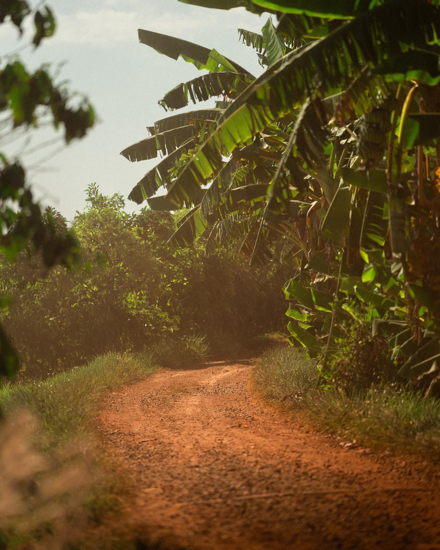 On the road for Day 1 🇻🇳🎥
-
@ryanhallett.co.uk
@sharp.films
.
.
——
#vietnam #vietnamphotography #videoproduction #eventvideo #videography #classiccar #classiccarrally