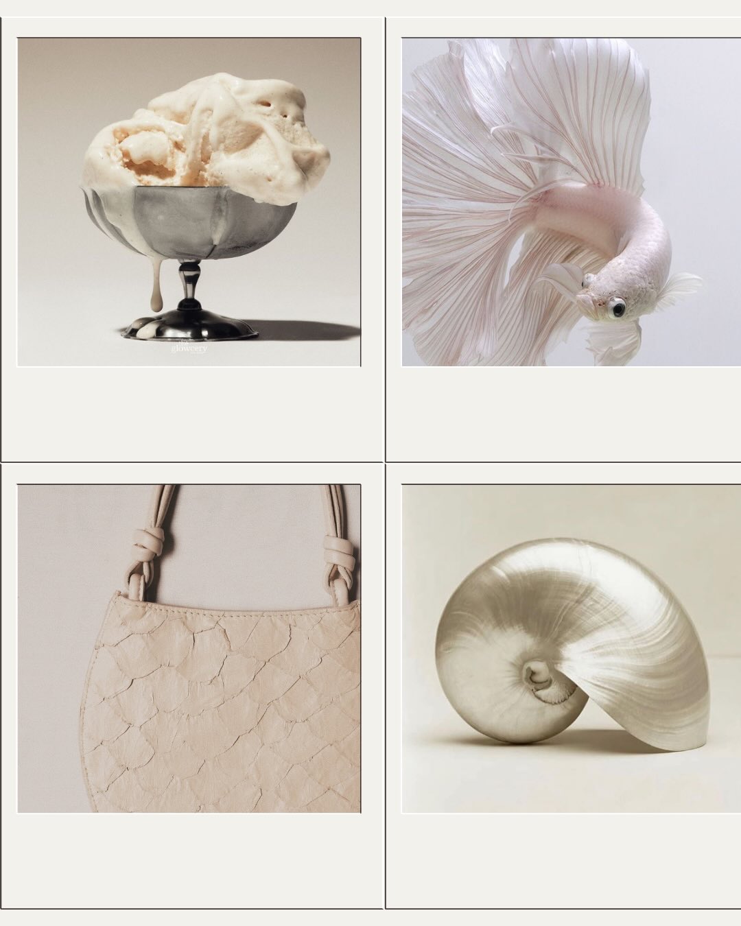 Qual sua cor favorita? Garn is curious