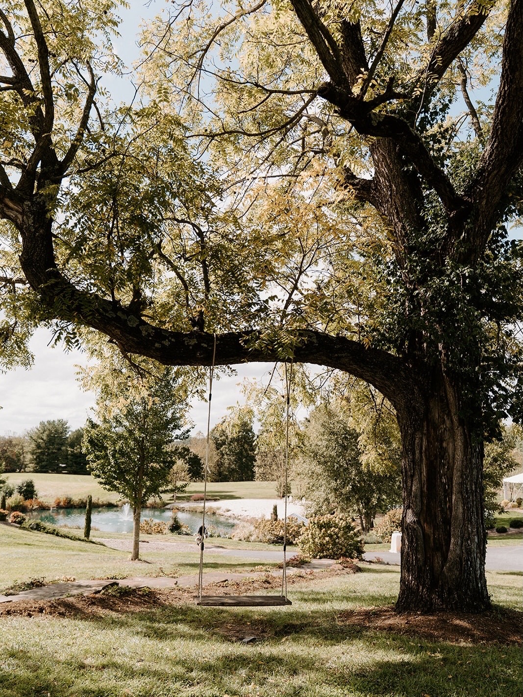 Welcome to Glen Ellen 🤍
⠀⠀⠀⠀⠀⠀⠀⠀⠀
Shot by @jewelsyphotography.
⠀⠀⠀⠀⠀⠀⠀⠀⠀
⠀⠀⠀⠀⠀⠀⠀⠀⠀
Glen Ellen Farm | historic & garden wedding venue in Maryland | now booking 2027 weddings.