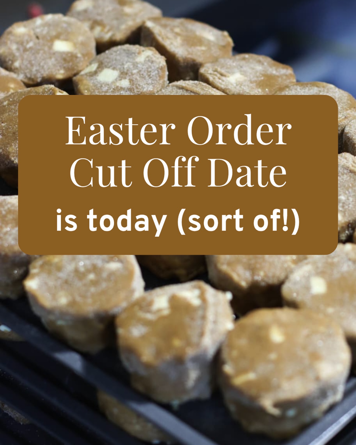 Easter is just around the corner, and we’ve tentatively set today as our order cut-off. That’s more of a guide than a hard stop though - we’ll still take orders through the week where we can, depending on what the kitchen can handle!
This week always has that familiar Easter buzz. The earlier you get your orders in, the smoother everything runs and the better chance we’ve got of keeping you fully stocked for the weekend.
If you’re planning to order, today’s the ideal time to get it in - but don’t worry, we’ll do our best to squeeze everyone in!
Place your orders at www.willow-finch.co.uk or drop us an email hello@willow-finch.co.uk