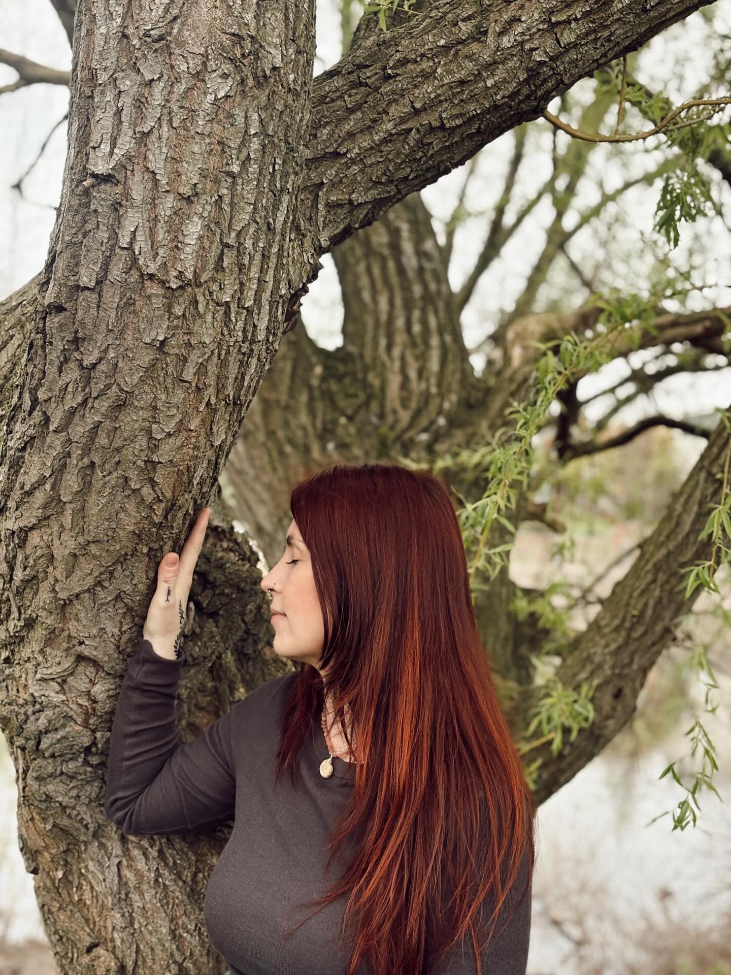 GRANDMOTHER WILLOW
: : : : : : : : : : : : : : : : : : : : : :
A living embodiment of resilience, surrender, immortality & deep feminine wisdom. Willow tends to our emotional being, teaching us how to flow, adapt & regenerate. Soothing our wounds with the medicine of release, a wise elder & nurturing balm for stagnant grief. She cradles the inner child as her own, inviting you to feel in safety within her watery womb.
Long regarded as a tree of enchantment and intuition, associated with the moon, the unseen realms, and the threshold between worlds.
Like water, she moves through you, cleansing, purifying and shedding light within the dark corners to be seen softly with flow and grace.
There is infinite wisdom in the medicine of this land to explore, come join @wildlove_yoga & myself weaving with the spirit of Willow in a deeply immersive plant spirit sound journey & tea ceremony 19th April.
This held space offers you the opportunity to flow into connection with Willow and what she has to reveal for you…
🔗 in bio 🌿
#plantmedicine #willowtree #shamanicdrum #shamanicjourney