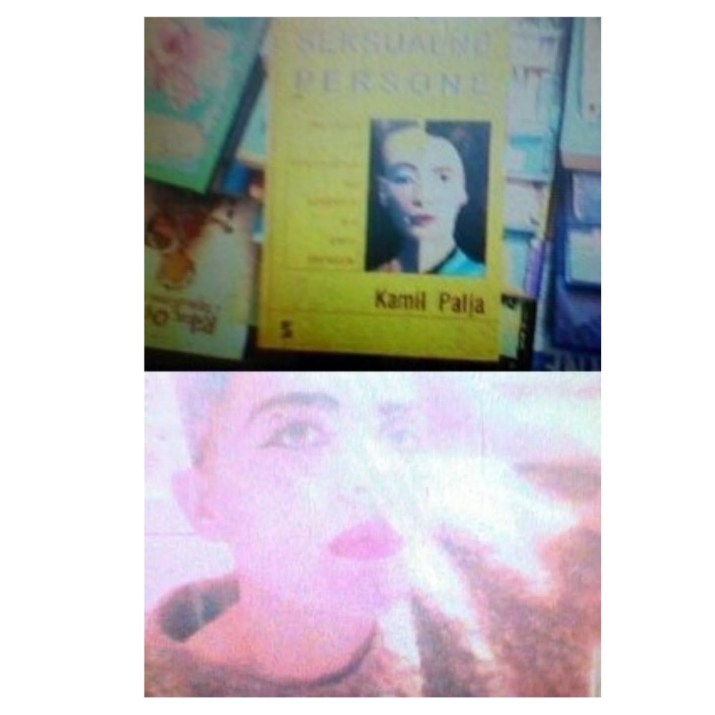 Seksualne persone: istorija umetnosti i dekadencije od Nefertiti do Emili Dikinson autorke Kamil Palja (Camille Paglia) može svima nadoknaditi rupe u znanju i inspiraciji koje su napravili savremeni kustosi. Ovo Cepter ovo izdanje dostupno je u našoj gradskoj čitaonici, ali slobodno možete i da mi kupite jedno. Izvinjavam se za loš kvalitet slika iz starog telefona. #Happybirthdaycamille #camillepaglia #sexualpersonae #nefertiti #bookrecommendation