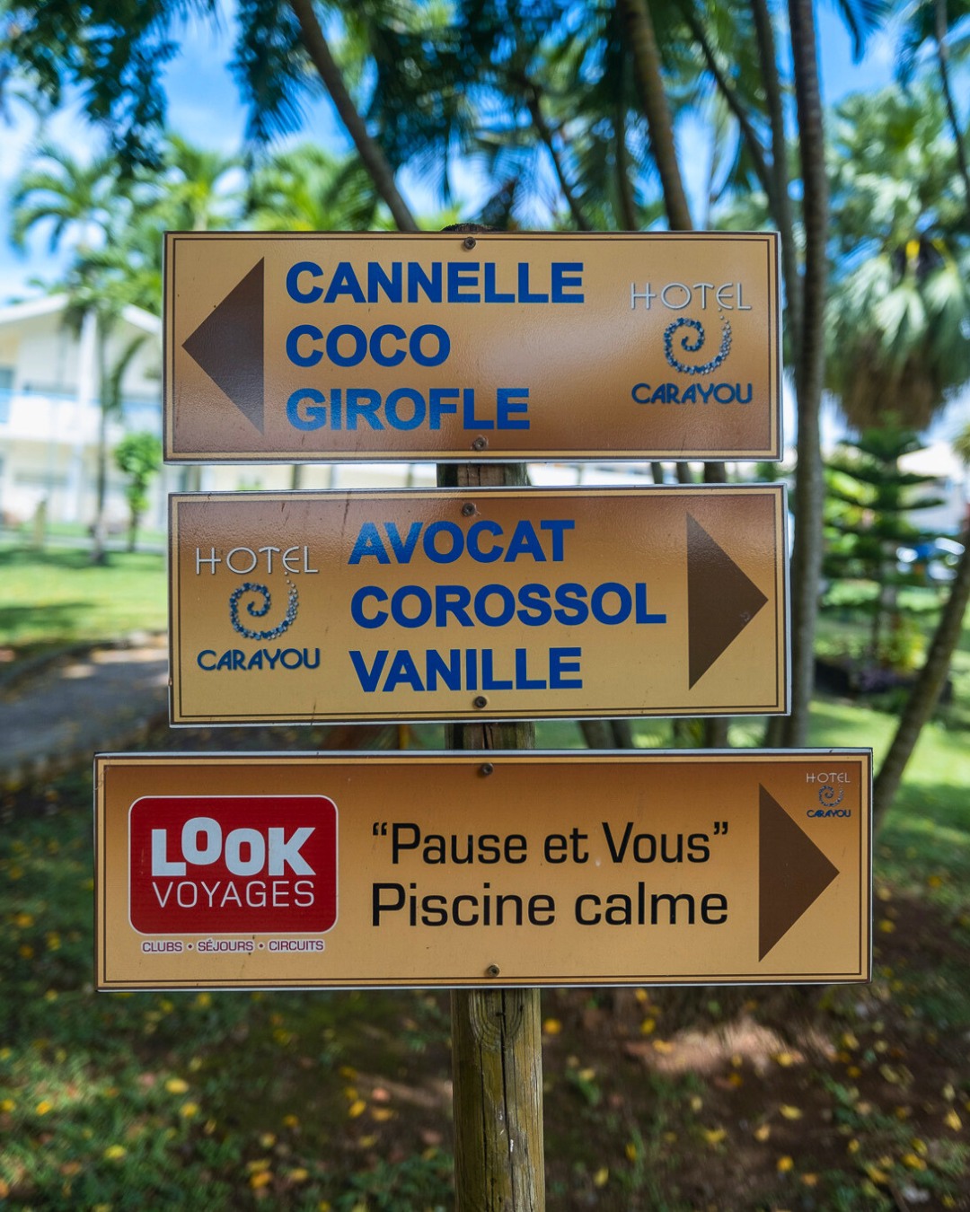 Cannelle, Coco, Girofle… Au Carayou, même les chemins ont le goût des îles 🌴
Un parfum d’évasion à chaque détour, entre jardins tropicaux et douceur Martiniquaise.
#Hotel #Martinique #TroisIlets #Antilles #Voyage