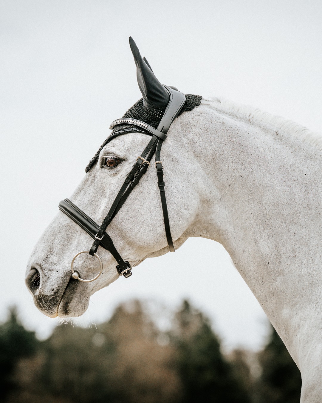 Soft light, quiet moments… waiting for summer ☀️ Elegance lies in the details – a personalised fly veil by KLEA Heart 🤍
Timeless, refined, and made just for you.
Because every ride deserves a touch of individuality ✨
📸 @mworld_photography
#kleaheart #equestrianstyle #timeless #equestrianchic #horselove #luxurydetails #personalised #summervibes