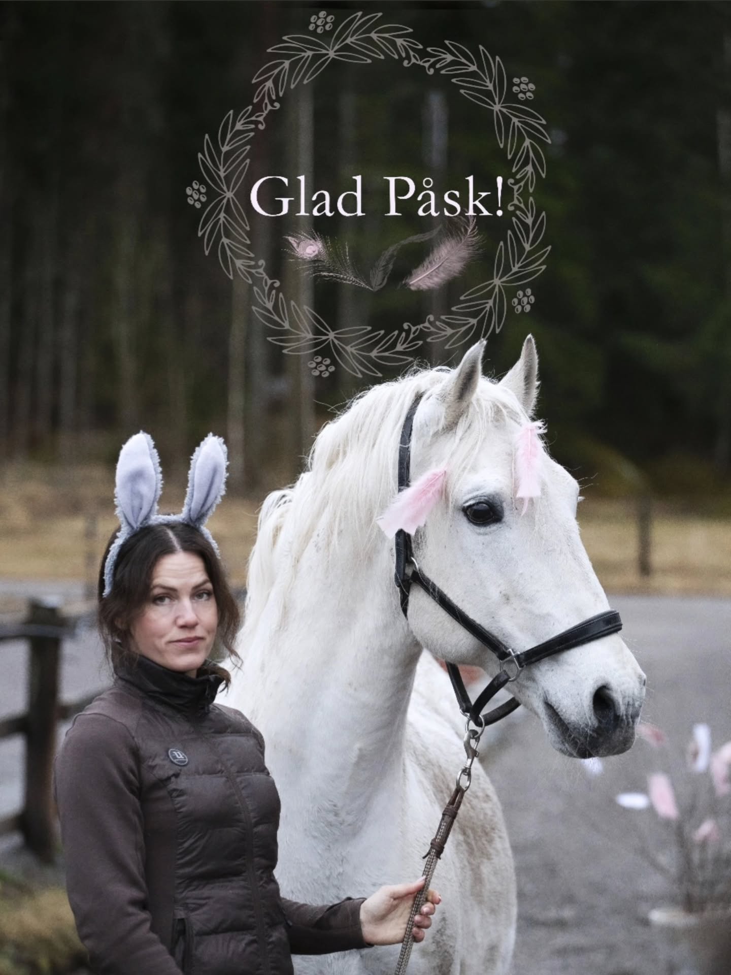 Jag, 35 Pluto Cosmo och alla andra på Ängvaktartorp, önskar alla våra kunder, följare och vänner en riktigt Glad Påsk!
#livetpålandet #lipizzaner #lifestyle #horsesofinstagram #35plutocosmo