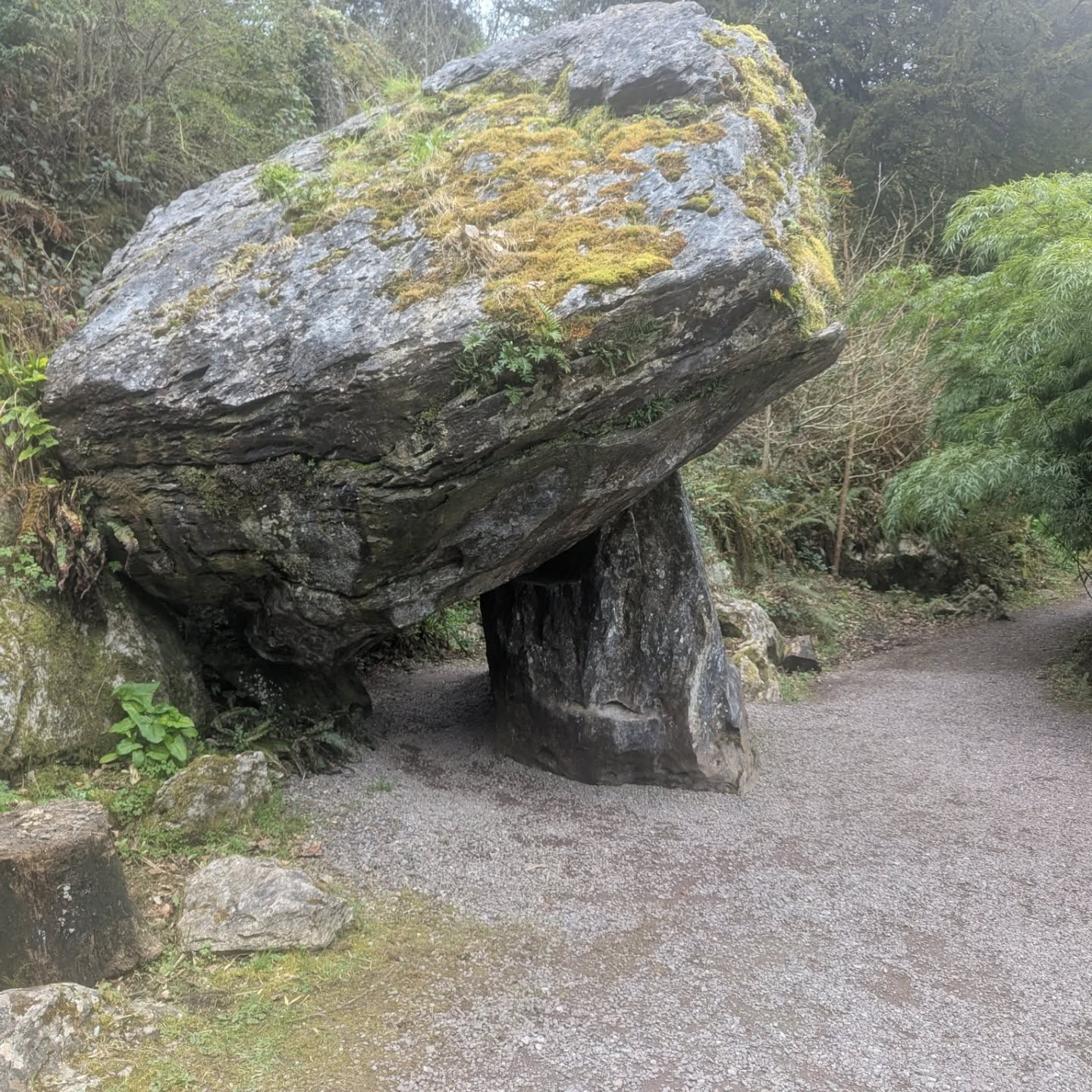Long of the short....I kissed a stone today #ireland🍀 #springbreak #authorlife #traveling #marriedlife