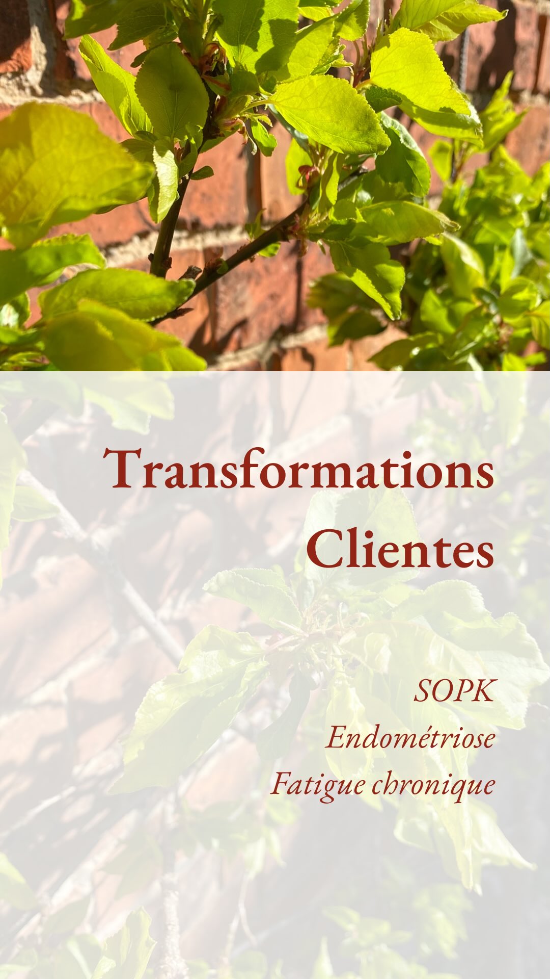 Toi aussi tu te demandes bien ce qu’on peut faire ensemble pour apaiser tes symptômes ?
Moi c’est Eugénie, je t’accompagne à apaiser tes symptômes de déséquilibres hormonaux ✨
J’adore les plantes et les graines germées,mais promis, on fait pas que ça 😂
Ecris “bilan” si tu es curieuse de savoir ce sur quoi on pourra travailler ensemble
✅ Même si tu as l’impression d’avoir tout essayé
✅ Même si tu as déja suivi un accompagnement
✅ Même si on t’a dit que t’es analyses étaient normales et qu’il n’y avait rien à faire
J’ai hâte de changer avec toi ! ✨
—-
N’oublie pas de T’ABONNER pour plus de conseils HappyHormones 🥰