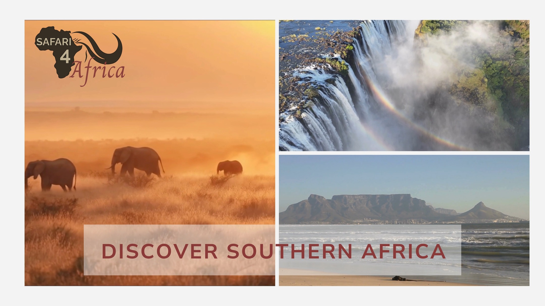 At Safari4Africa, we craft personalised luxury escapes that showcase the best of Southern Africa’s wildlife, landscapes, and hospitality.
Contact us to design your unforgettable African experience. 🐾
#Safari4Africa #Safari
#LuxuryTravel #LuxurySafari #BespokeTravel #ExclusiveTravel
#SafariExperience #AfricanSafari #WildlifeTravel
#SouthernAfrica #ExploreAfrica #AfricaTravel #VisitAfrica #SafariAfrica
#LuxuryLodge #SafariLodge #LuxuryCamp #FiveStarTravel
#InstaTravel #TravelInspiration #LuxuryEscapes
#krugernationalpark
#capetown
#southafrica
#namibia
#botswana
#zimbabwe