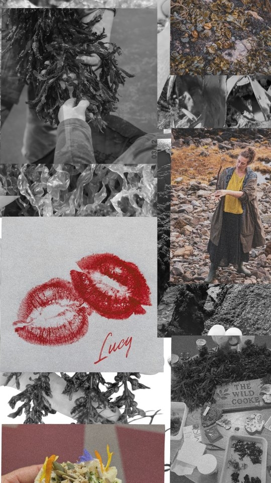 Anyone else feeling like this or is it just me?! 😎🤘🏽🪸
Although I loved the beach as a child I used to really dislike the seaweedy places... Unknown. Dark. Slippery. What was lurking etc.
Fast forward thirty years and I couldn't be more different. I love the intertidal zone. Seaweeds are phenomenal. I adore the feeling of them. I hope something is lurking 😆🧐
If you fancy getting nerdy with me I'll be talking about seaweeds at the following:
Much Wenlock, Shropshire - Seaweed Sessions Workshop Friday 10th April (indoor) @wellnesswithin.love
Port Appin, Argyll - Forage and Feast Spring Tides with @thepierhousehotel Saturday 18th April
Isle of Tiree - Nourish Escape with @mara_ocean_adventures Sunday 21st June - Saturday 27th
Send me a message for more information 👍🏽☺️