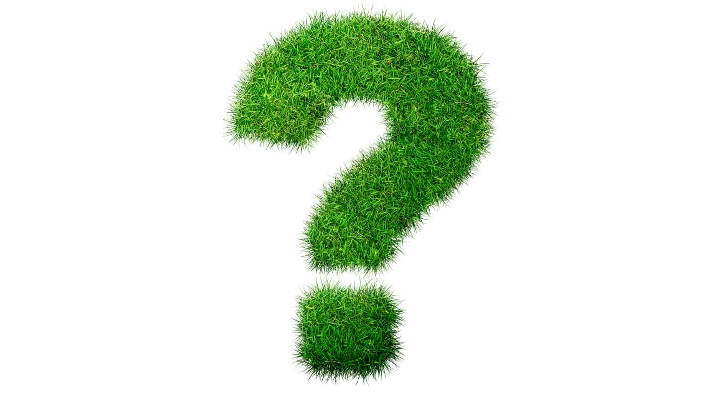 So the wind and the rain are back this week for some of us ... but that doesn’t mean you can’t get your #gardensoil tested!
Check out all the answers to your #soiltesting questions here, & plan the perfect healthy basis for #growingyourown!
https://www.safesoil.co.uk/faqs
#SafeSoilUK #growyourown soilhealth soilscience