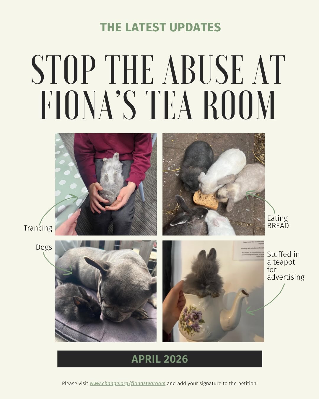 Since January, weโve continued raising serious concerns with the council about Fionaโs Tea Room ๐
Following a formal Stage 2 complaint (the highest level in the councilโs complaints process), an unannounced inspection confirmed multiple breaches of licence conditions, including:
- Exceeding the permitted number of rabbits
- Inadequate cleaning and lack of water
- Ongoing issues with feeding and care
A suspension was issued, and the licence was reinstated after changes were made. However, the situation remains deeply concerning.
The council has confirmed that:
- Licences are based on minimum legal standards, not best practice
- There is no fixed threshold for revoking a licence
- The licence wording will not be reviewed, as it was previously approved by the RSPCA
Since reinstatement, further breaches have already been identified:
- Paid feeding continues - customers can buy ยฃ1 bags of food, some items appear to be leftover food, making diet monitoring impossible ๐ฐ
- Handling concerns - the licence allows rabbits only on a lap/surface, yet photos show children standing while holding rabbits (possibly being charged ยฃ5 to do so) ๐
- Rabbits were handled by customers while the licence was suspended ๐
- Breeding activity now confirmed at a private residence ๐
The council have confirmed that INFINITE BREACHES are allowed.
We are currently awaiting further clarification from the council on how conditions are being monitored and enforced in practice.
While we initially believed a licence should NOT have been granted, the current reality is that a licence is now the ONLY mechanism through which welfare standards can be monitored and enforced.
This is why public vigilance matters:
โผ๏ธIf you visit and notice anything concerning regarding the rabbits, please send us evidence or DM us. Your observations help ensure their welfare is monitored.โผ๏ธ
We will continue to:
- Submit evidence to the council
- Share updates publicly
- Push for proper rabbit welfare standards
Thank you to EVERYONE supporting and raising awareness๐