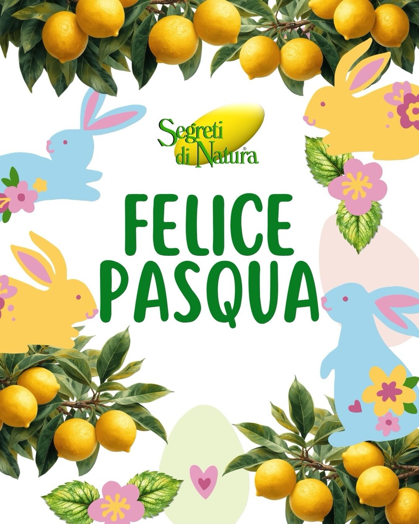 In occasione di questa Pasqua, il nostro augurio si ispira alla forza dei cicli naturali:
⢠Rigenerazione: Che possiate ritrovare lāenergia vitale che la natura sprigiona in questi giorni.
⢠Armonia: Che la cura di sé diventi un gesto spontaneo e profondo, come il respiro della terra che si scalda.
⢠Fiducia: Che possiate guardare al domani con la certezza che, dopo ogni inverno, la vita trova sempre il modo di tornare a splendere.
Dal team di Segreti di Natura
