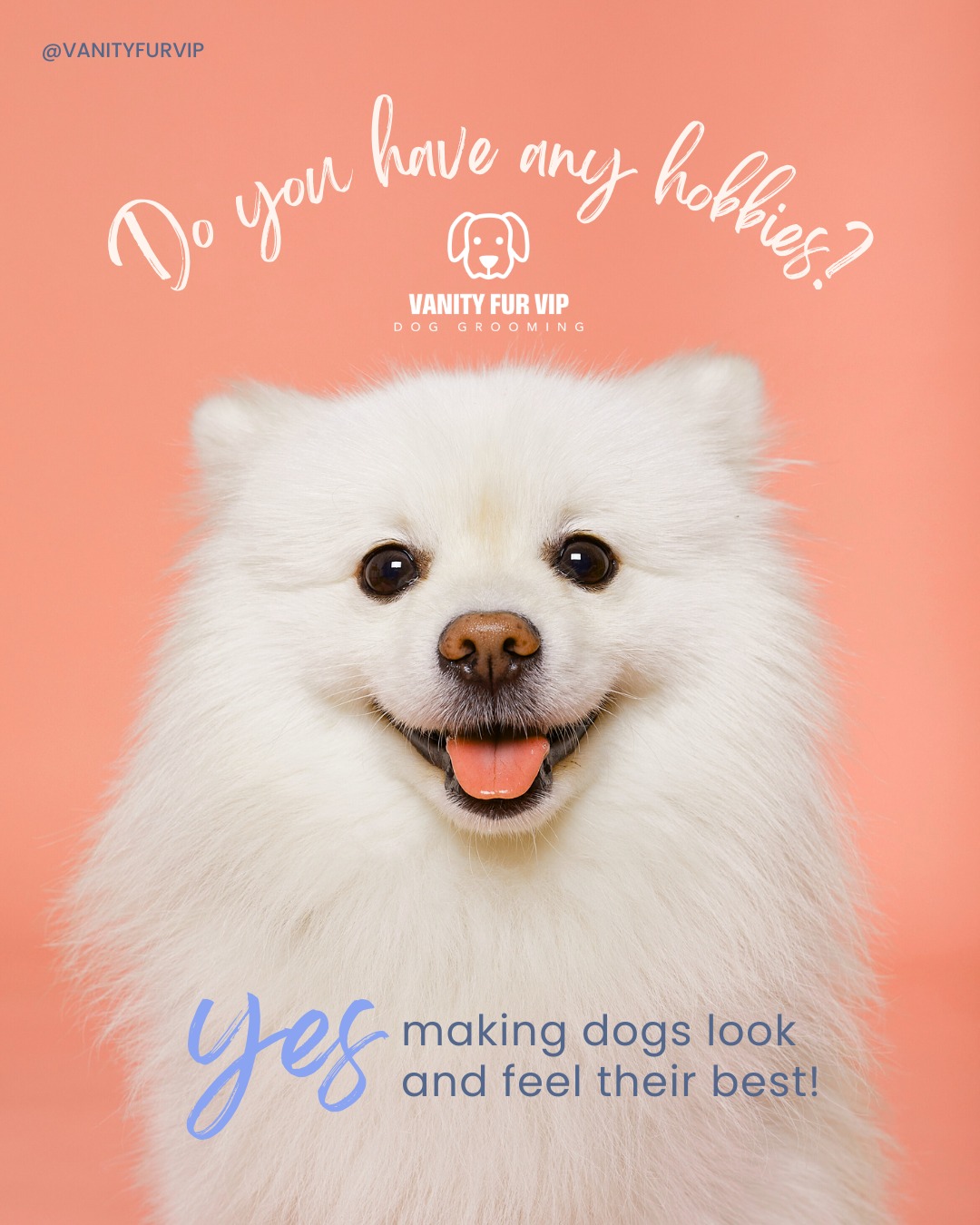 🧡Someone asked me the other day...🧡
“Do you have any hobbies?”
Yes…making dogs look and feel their best.
Watching a nervous dog relax and start to enjoy coming to see me.
Seeing an overgrown coat turn into something beautiful.
Sending a dog home happy and comfortable.
Some people call it a job. But for me, I love dogs and I love what I do and it feels like a hobby you never get tired of.
🐾 If your dog loves their spa day, drop their name in the comments.
Love,
Melanie @ Vanity Fur VIP x
#DogGroomerLife #VanityFurVIP #NorthYorkshireDogs