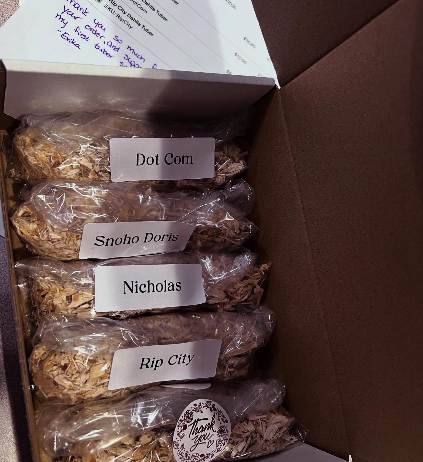 Thank you to everyone who’s supported my first full-on tuber sale! 🥔
Today I’ve been packing up orders to ship tubers all around the country, from our backyard here in Buckley, WA.
One of my favorite things about supporting small farms and hobby growers over the years has been the personal touches. Not the fancy printed extras that get tossed, but the little things that make you feel truly appreciated as a customer.
So I wanted to pay that forward in my own way. Every order includes a brief handwritten thank-you note and a free tuber. And for a few orders that completely shocked me (10+ tubers!), I’m adding in a 3 oz Volcano Glow candle as an extra thank you.
Without your support, all the work that goes into growing, caring for, dividing, and storing these tubers wouldn’t mean nearly as much. I’m so grateful I get to share it with you, and give you a piece of our garden
Thank you, truly 🫶🏼
#dahlia #dahliatubers #flowerfarming #garden