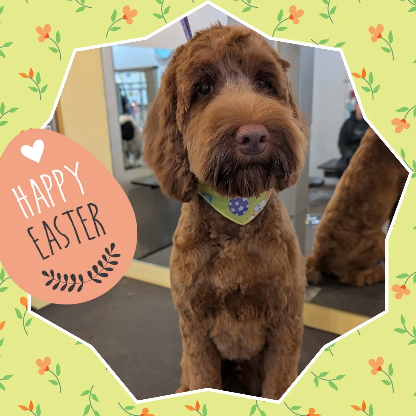 Alfies's 1st big boy haircut