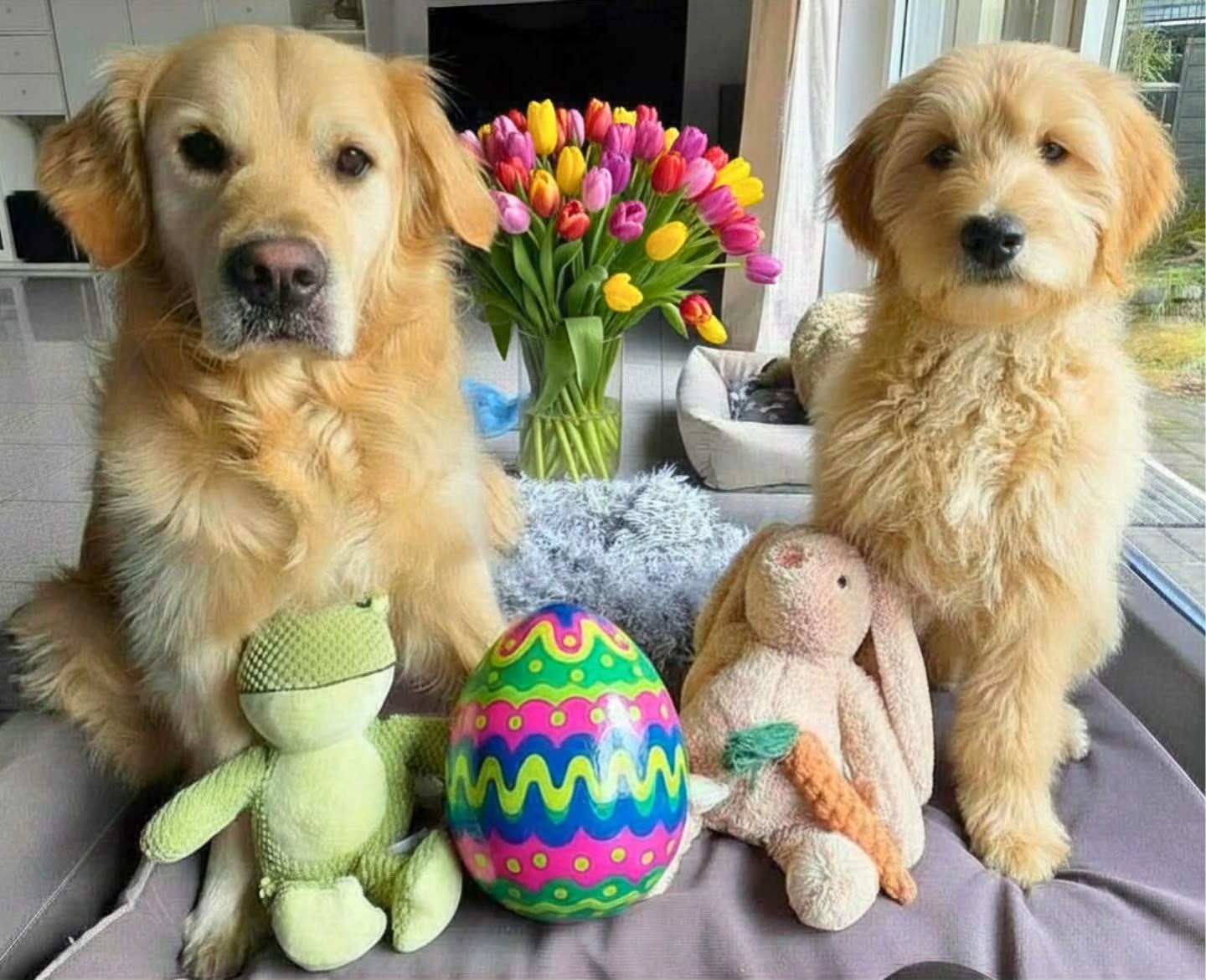 Frohe Ostern 🐰🥚🌷 Happy Easter 🐰🥚🌷
#froheostern #happyeaster