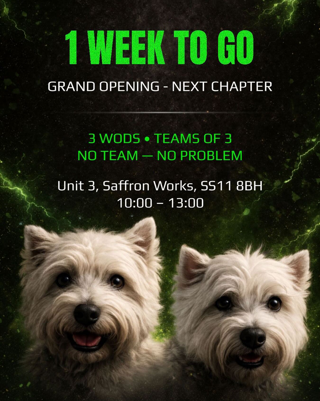 🟢 We open in ONE WEEK 🥳
🟢 Come and experience the new space, the energy, and what Two Tails is all about.
✅ 3 workouts
✅ Teams of 3
✅ All levels welcome
🟢 Book in using the link in bio, get involved, and be part of the start of something big 💚