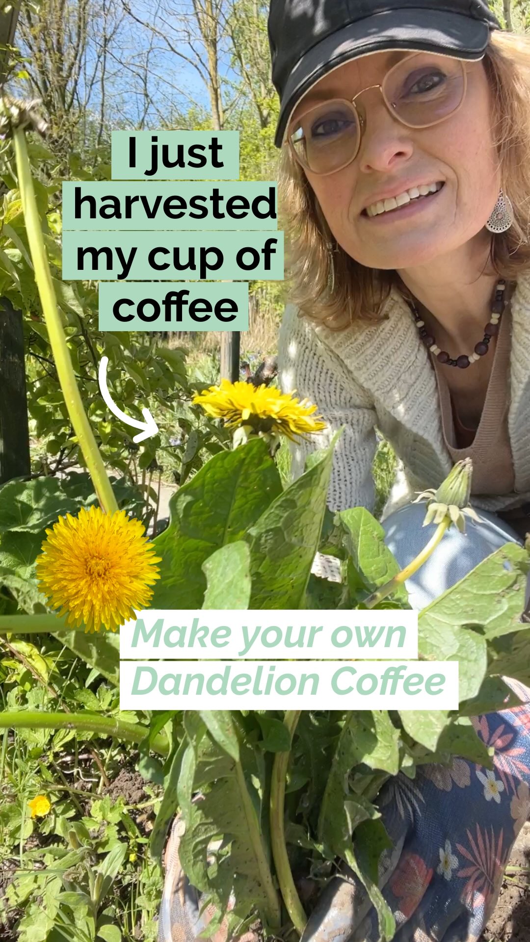 If you are up for a healthy coffee, Dandelion coffee is worth a try!
🌼 Dandelions are very healthy and versatile. The complete plant (petals, stem, leaves, and root) is edible AND medicinal.
Dandelion tea is getting more and more attention. But don’t forget about dandelion coffee!
It takes some time to make coffee from the roots, but it's not difficult at all. And the best part is .... dandelions are everywhere!
If you pick dandelions, leave some for the bees and use the whole plant so nothing goes to waste. Use the fresh flowers and (dried) leaves to make a healthy tea infusion, and use the dried roots to make coffee:
* Pick fresh flowers (avoid polluted places and roadsides)
* Wash thoroughly (I let them soak in water + baking soda for 10 minutes to clear dirt and insects, and rinse 2-3 times)
* Dehydrate at 40 degrees C / 105 F (to get the most moist out)
* Chop in small pieces
* Bake 30 minutes in a preheated oven at 200 C / 392 F
* Grind the root pieces (Pro tip: use an electrical grinder ;-)
* Add the root powder to a filter
*Pour hot water over it, and let it drip into your cup.
That's it.☕️
I'm curious what you think of the taste! Let me know in the comments if you've ever made or tasted dandelion coffee.
I have my own opinion about this coffee. 🙂
👉 Don't forget to watch my next reel with my honest review!
Drop a 💚 if you like more recipes like this, follow me if you love living life naturally.
#dandelioncoffee #dandelion #coffee #herbalrecipe #herbalremedies