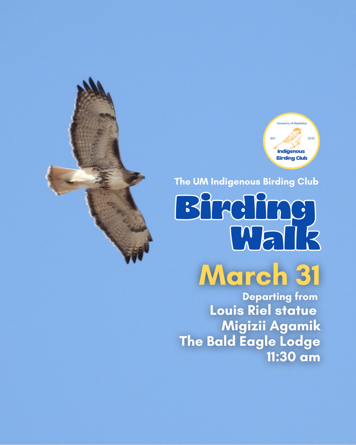 Join us for a relaxed, 1.5-hour birding walk that begins at Migizii Agamik – Bald Eagle Lodge. We will gather at 11:20 a.m. by the Louis Riel statue, with the walk starting promptly at 11:30 a.m. The walk will take us to King’s Park, or another nearby location, at a leisurely pace, allowing us to enjoy our feathered relatives in the green spaces on and near campus.
These walks are open to BIPOC (Black, Indigenous, and People of Colour) folks and allies who share our belief that birding is for everyone, regardless of experience. Whether you’re new to birding or a seasoned enthusiast, we welcome you to join. Just dress for the weather and be sure to bring sunscreen and water. If you don’t have your own binoculars, we have some available to borrow.
Our walks are an opportunity to connect with nature, build community, and learn from one another in a relaxed and supportive environment. Feel free to participate at your own pace, there’s no need to stay with the group the entire time, and you’re welcome to come and go as you please.
Accessibility Information:
The walk covers a variety of paths, including pavement, grass, dirt, and gravel, with mostly flat terrain and a few gentle slopes.
Washrooms are available approximately halfway along the walk.
If you need assistance or have specific accessibility requirements, please let us know in advance so we can do our best to accommodate you.
Parking:
Please note there is NO free parking on campus M-F from 8:30 a.m. to 4:30 p.m. Parking is available in the Parkade and at metered spaces for a fee.
We look forward to seeing you there!
📷: Justin Rasmussen