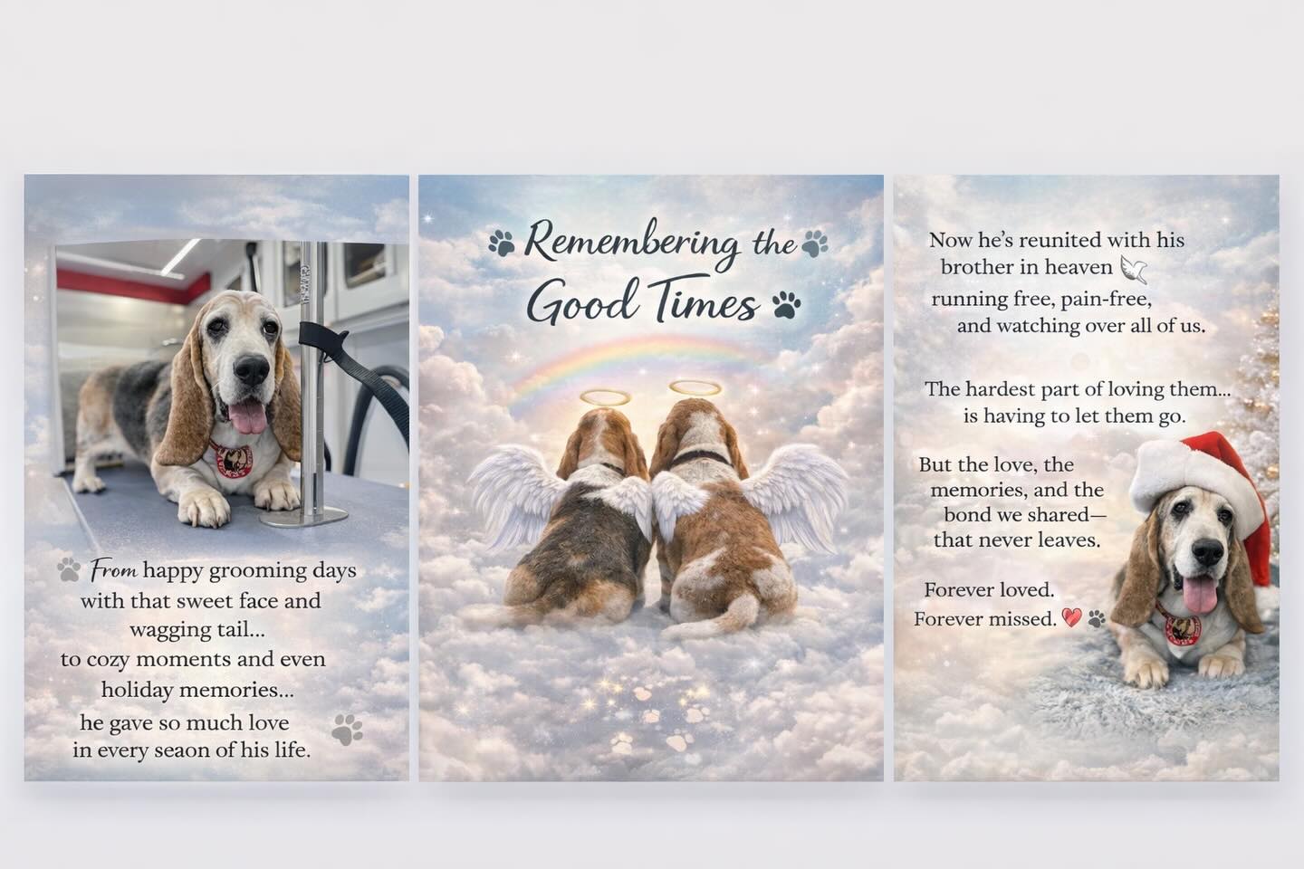 Run free my friend! Thank you for all the tail wags and love you brought to so many! I will miss you! 🌈💜 Kiss your brother for me! Until we meet again!