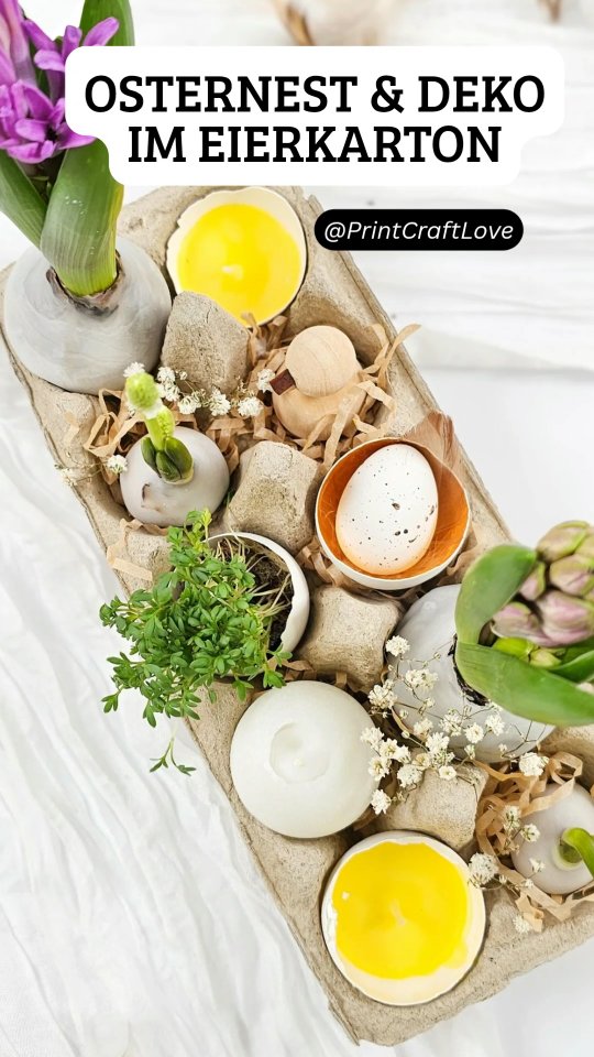 Dieses #OsterDIY war eigentlich schon lange als Last-Minute Tischdeko und Geschenkidee für Ostern vorbereitet und hätte ich super gerne gestern im SWR bei 📺 #kaffeeodertee gezeigt. Aber durch die #zwillingsschwangerschaft ruhen gerade alle TV-Termine 🤷♀️ daher zeige ich euch die kleinen Osternester im Eierkarton heute wenigstens hier 😁. Vielleicht braucht der ein oder andere von Euch ja noch eine kleine Inspiration 😉
🗒 Auf meinem Blog zeige ich dir 6 kleine DIY-Ideen um dein Eierkarton-Nest individuell zu gestalten, mit Selbstgegossenen Kerzen, gewachsten Blumen, bepflanzten Eierschalen...
🚩 Gerne für später speichern, Ostern kommt ja jedes Jahr 😉
#OsternestSelbermachen #OsterdekoDIY