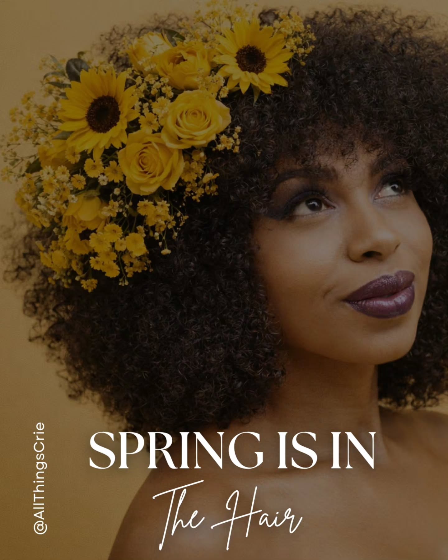 Crie means to create, and this is what creation looks like in real time.
Hair that is soft, strong, and responsive.
A routine that supports your life, not slows it down.
No confusion. No excess. No compromise.
100% No Junk.
Quality in Products. Integrity in Ingredients.
Spring starts here.
#CrieNatural #SalonCrie #AllThingsCrie #LuxuryHairCare #CleanHairCare TexturedHairExperts