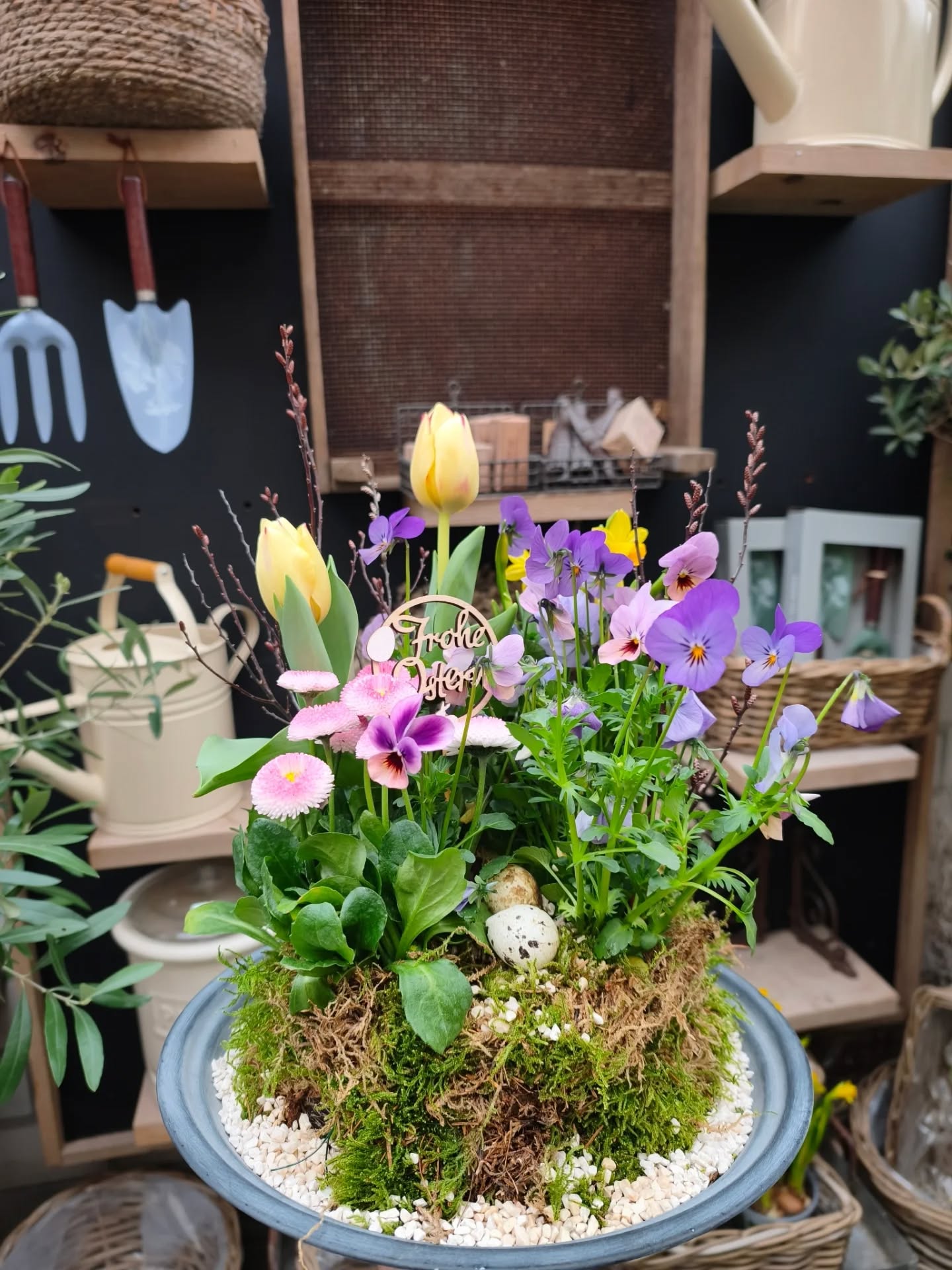Spring 🪻🌷
#spring #ostern #frühling #urbanjunglelove #bergischgladbach