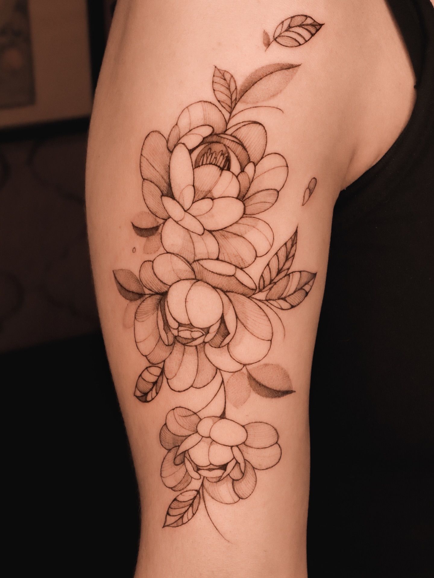 🤍
Que nuestros cuerpos sean jardines vivientes ✨
#tattoo #tatuajesfineline #tatuadoramexicana #cdmxtattoo #tattooist