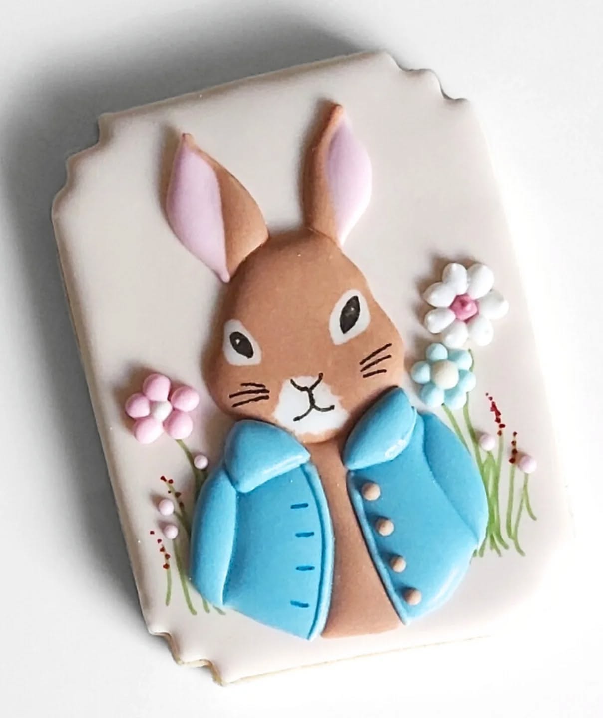 Happy Easter everyone! 😘
#easterbunnycookies #peterrabbit #royalicingart #bespokebiscuits #biscuiteers