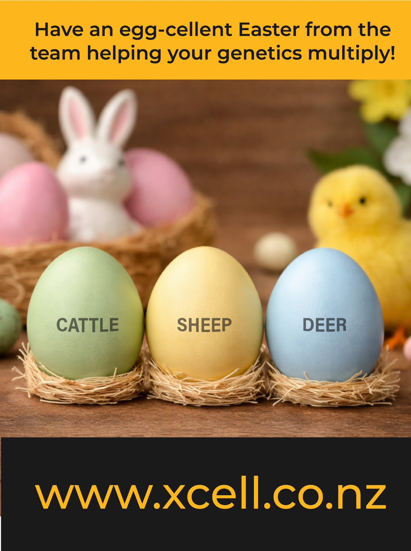 Happy Easter from all the team at Xcell!
Wishing you a season full of growth, new life and outstanding results. We look forward to helping your genetics multiply faster than Easter bunnies. π°π°π°
We will be closed Friday and Monday but back on deck Tuesday.